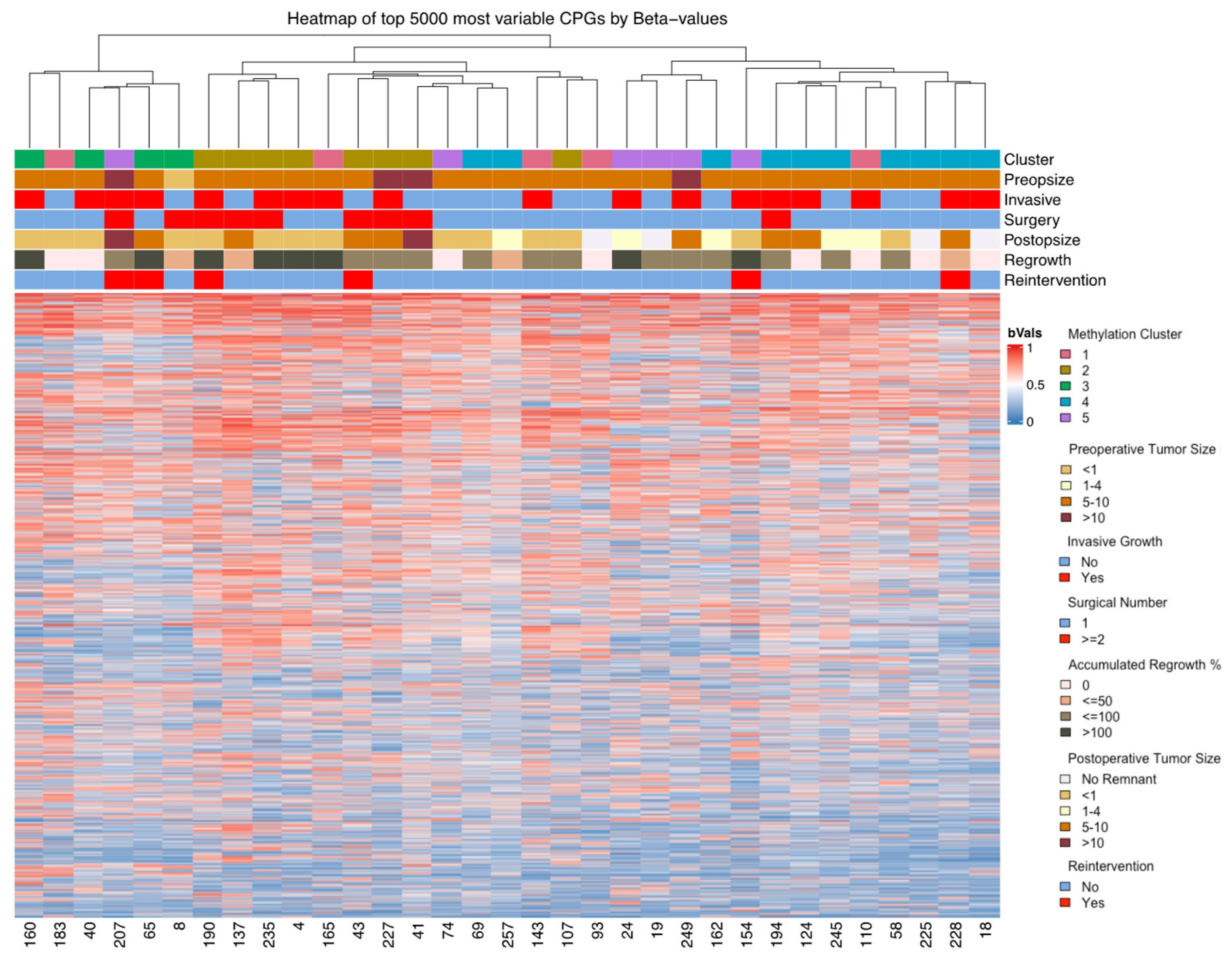 Cancers 16 02210 g004