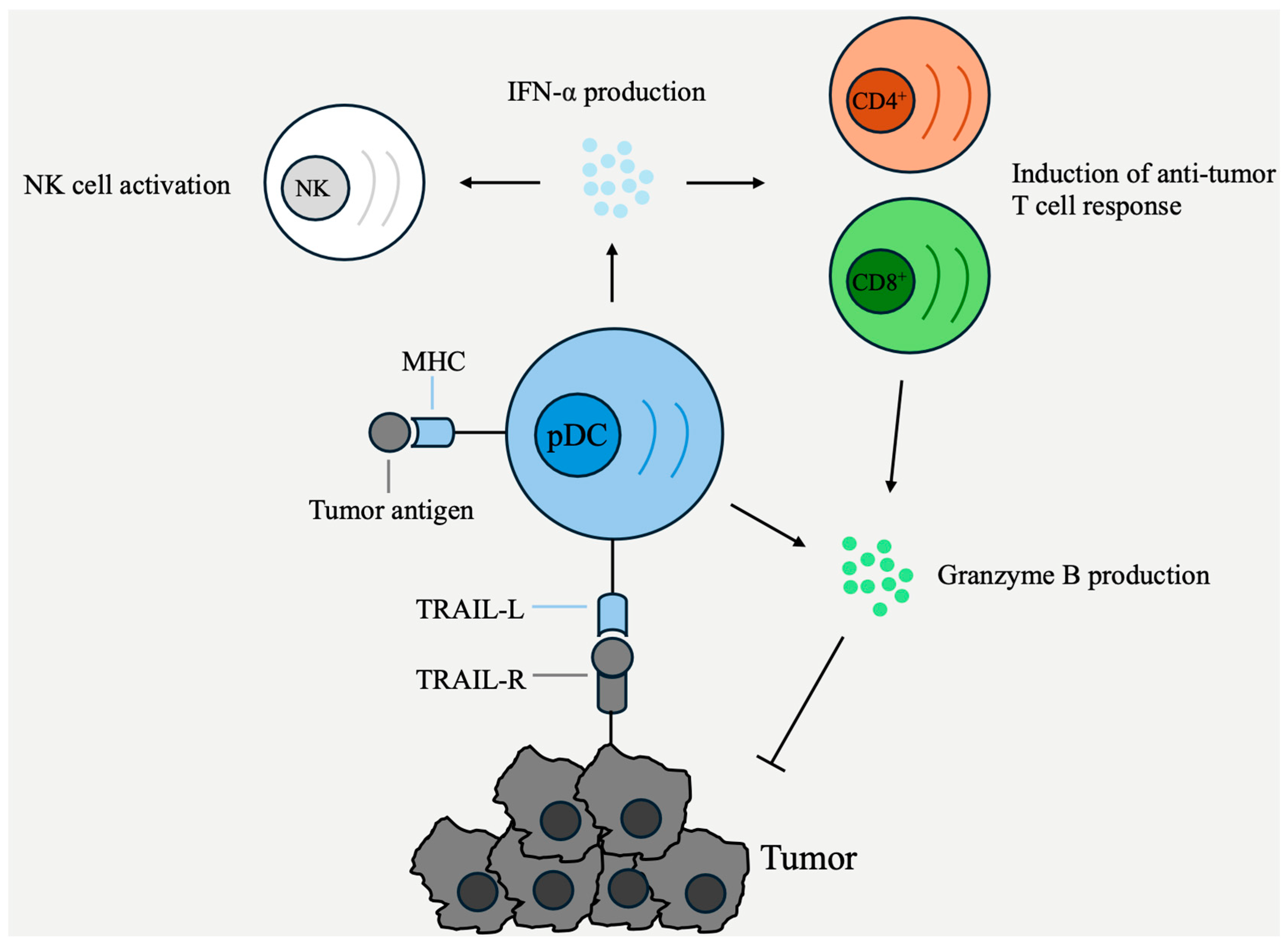 Cancers 16 02216 g001