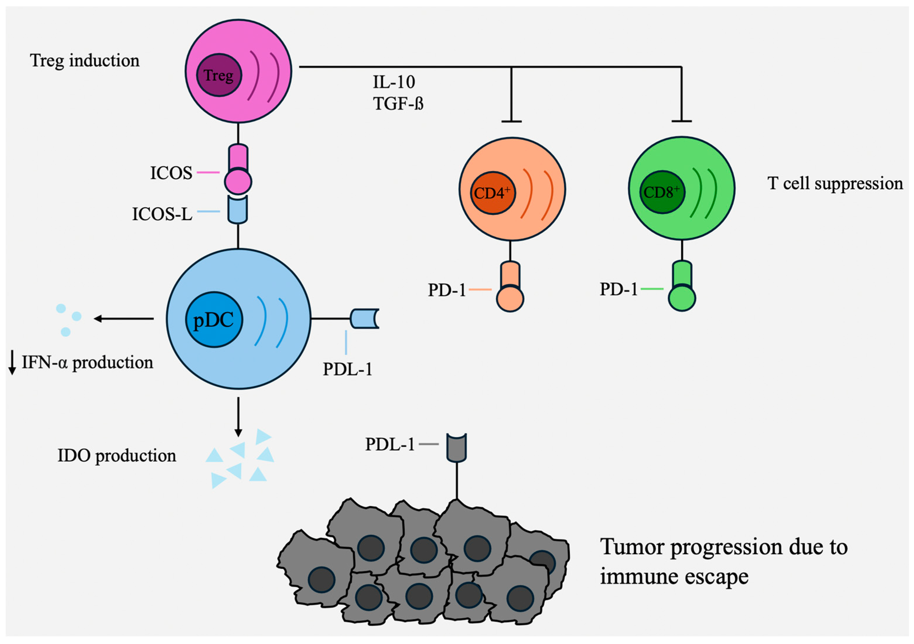 Cancers 16 02216 g002