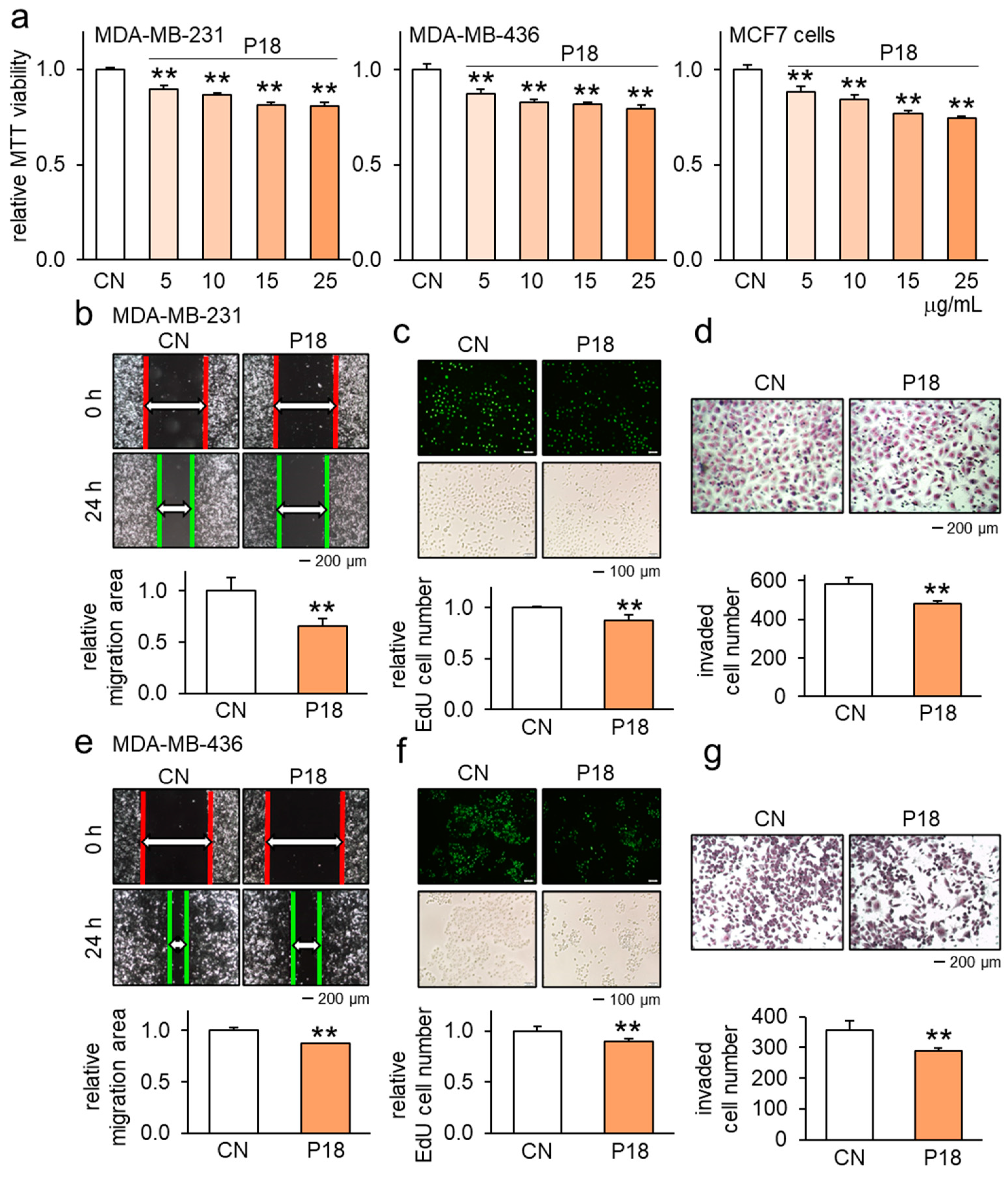 Cancers 16 02230 g001