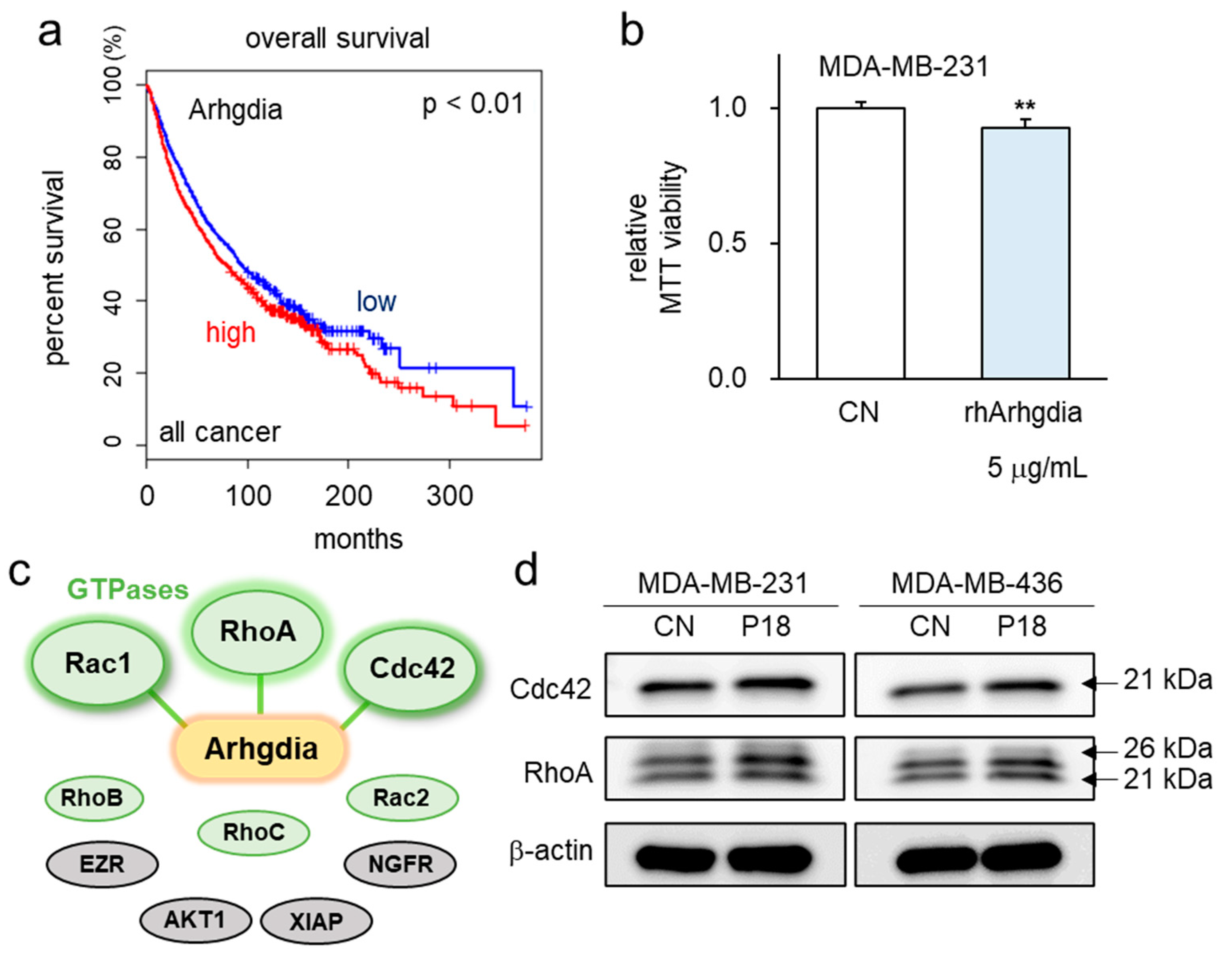 Cancers 16 02230 g005