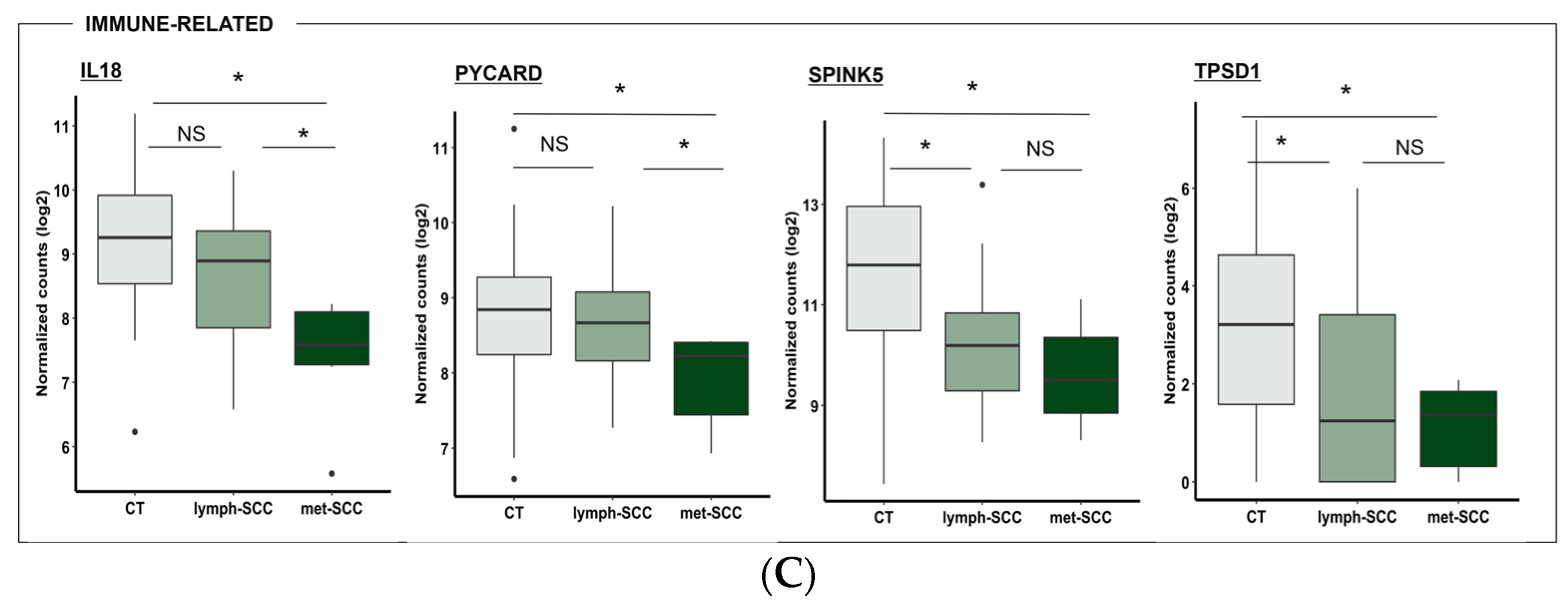 Cancers 16 02233 g005b