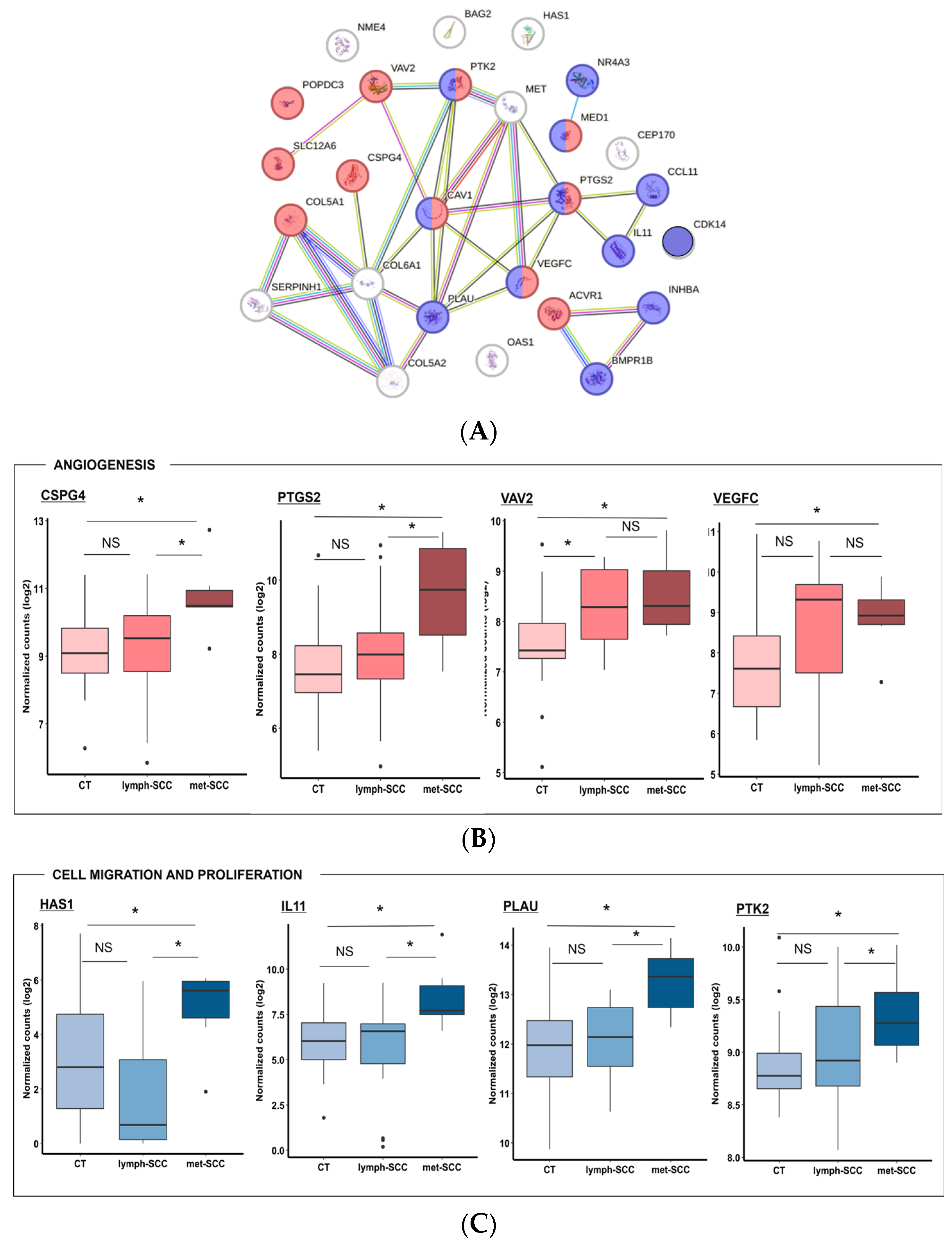 Cancers 16 02233 g006