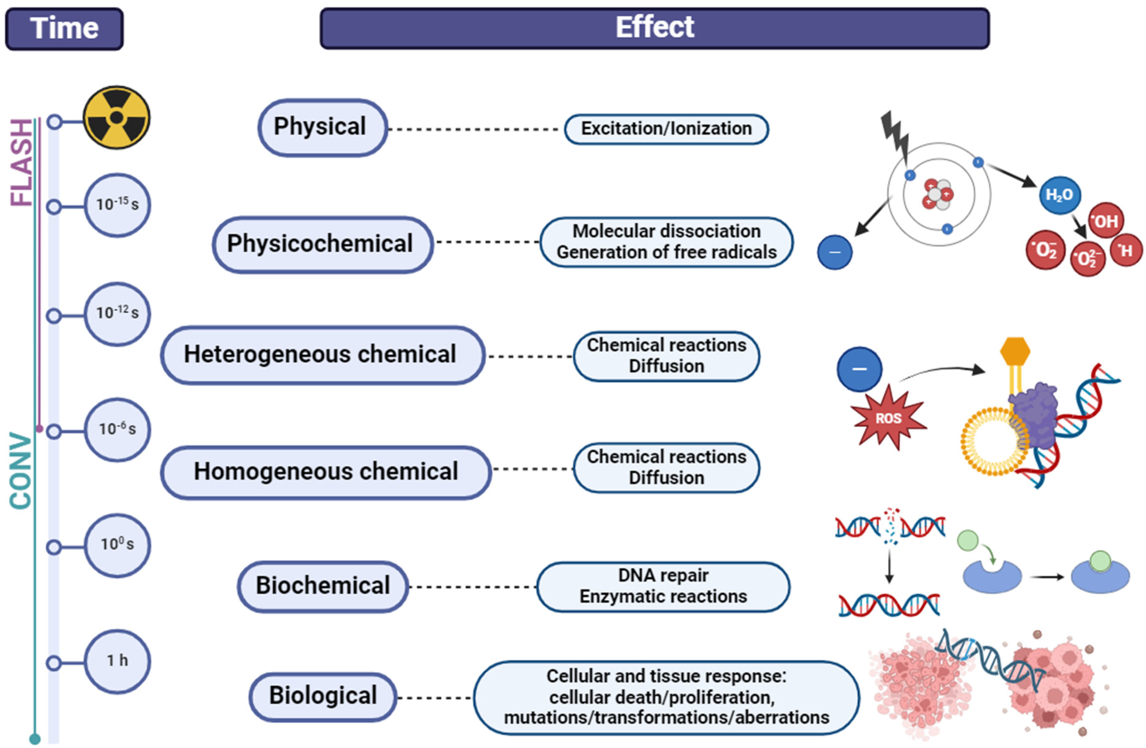 Cancers 16 02235 g001