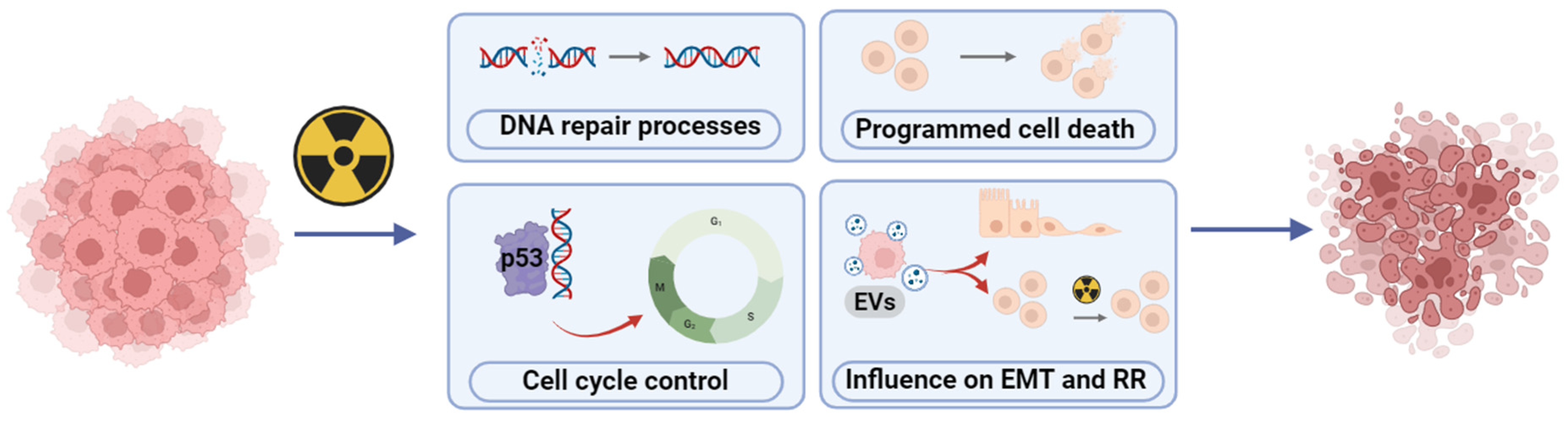 Cancers 16 02235 g002