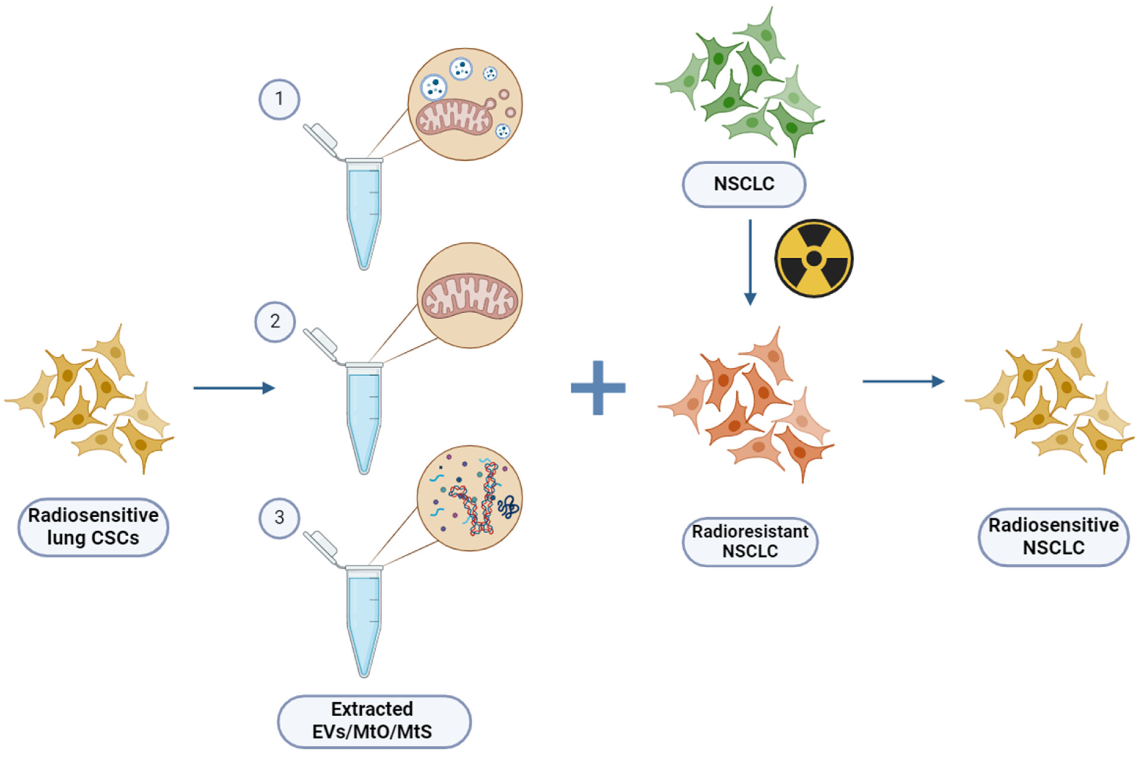 Cancers 16 02235 g003