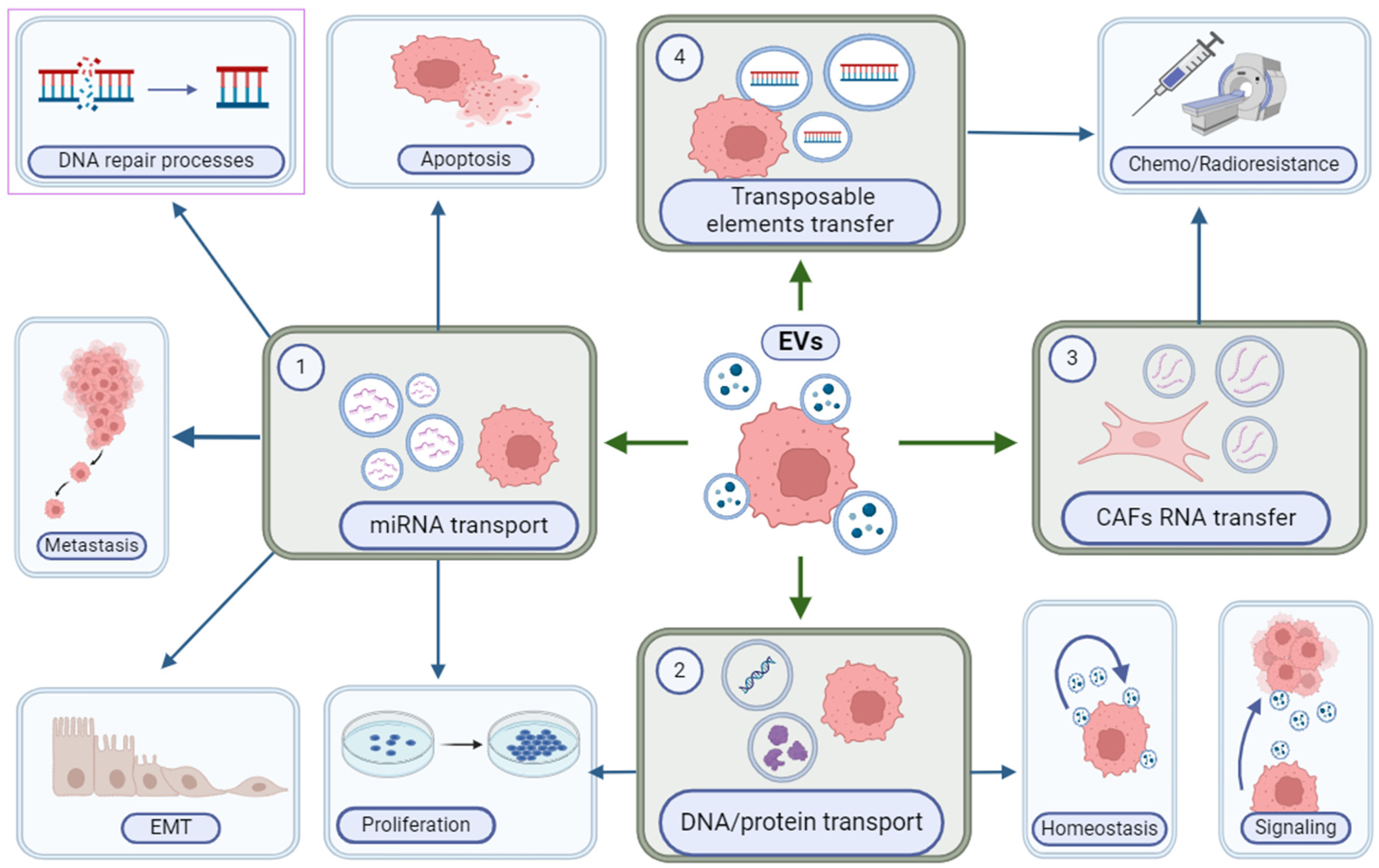 Cancers 16 02235 g004