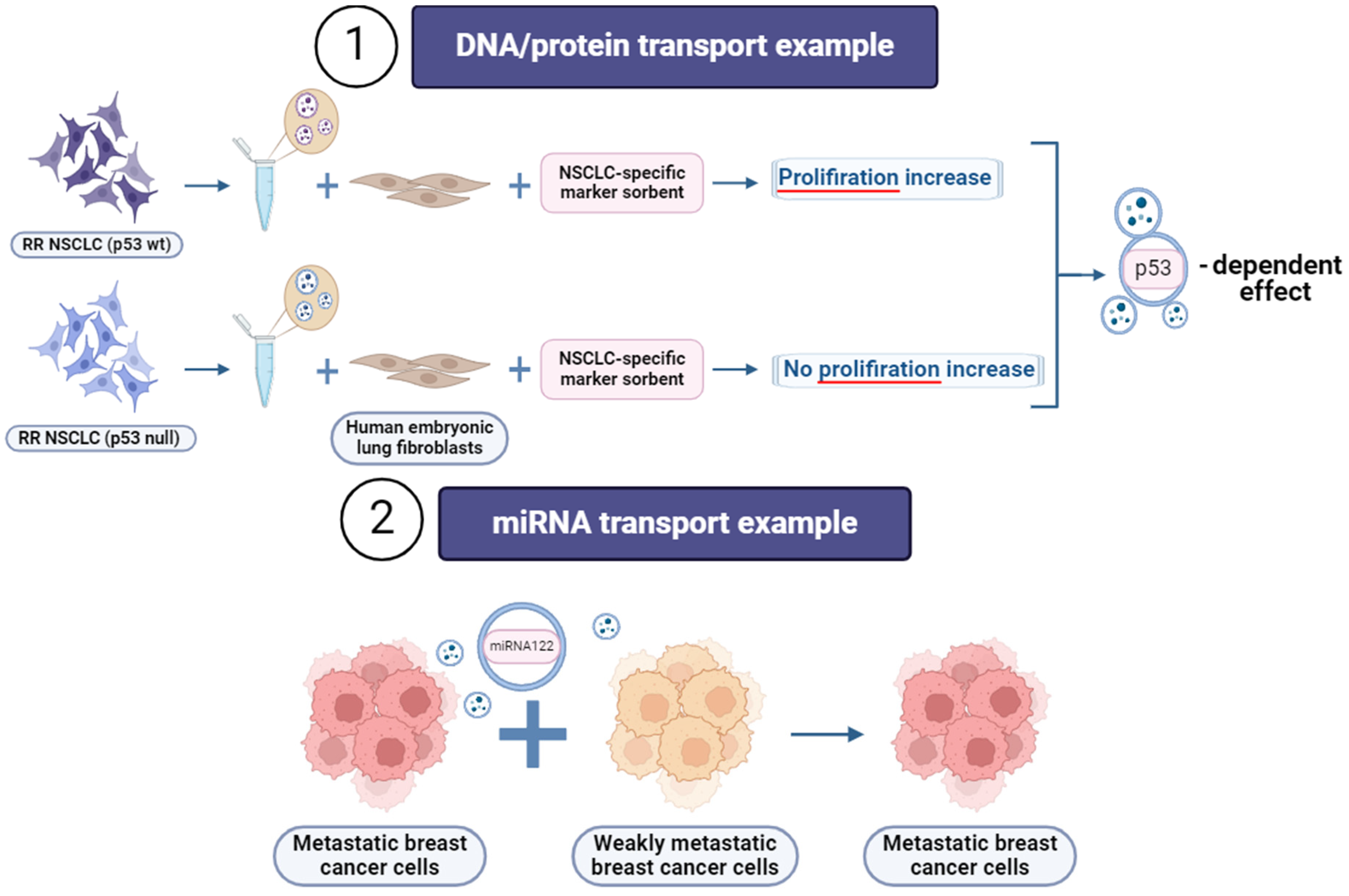 Cancers 16 02235 g005