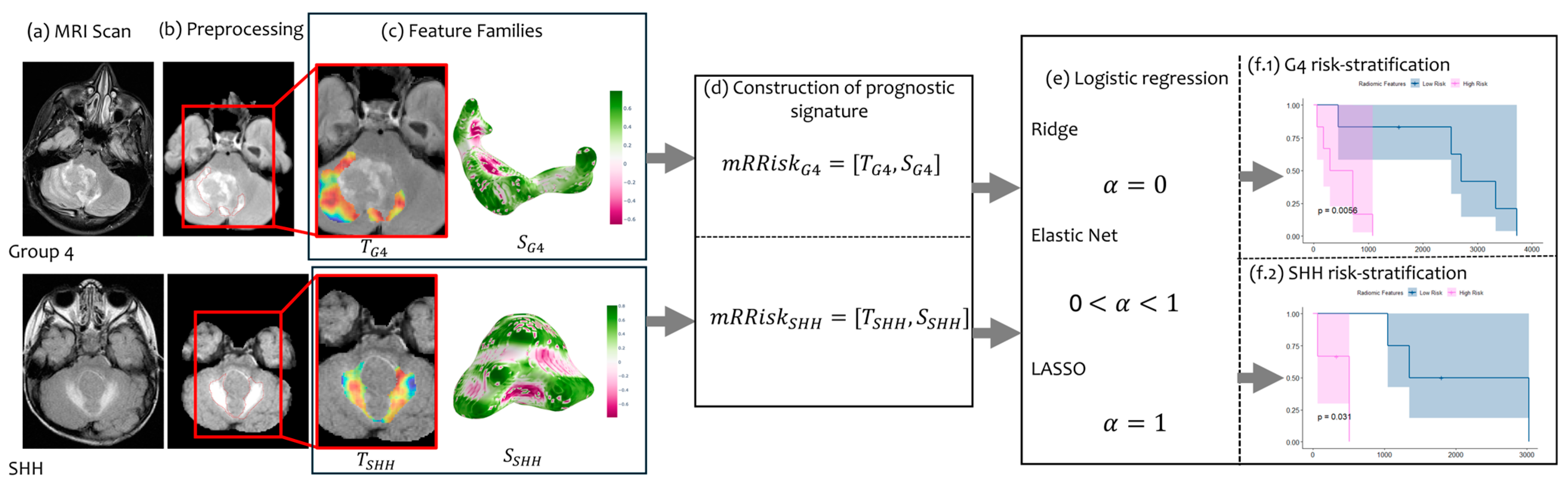 Cancers 16 02248 g001