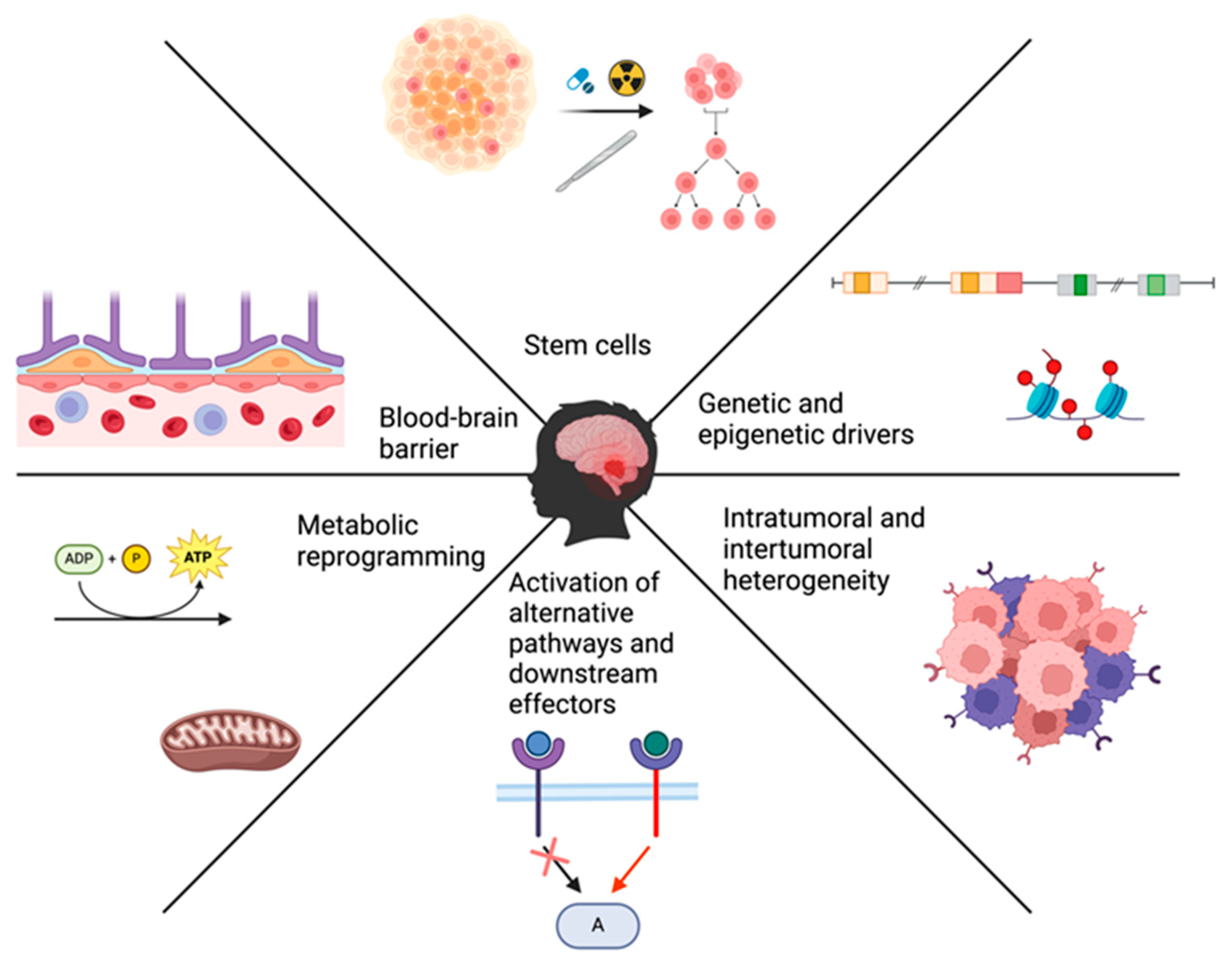 Cancers 16 02249 g001 Cancers 16 02249 g001