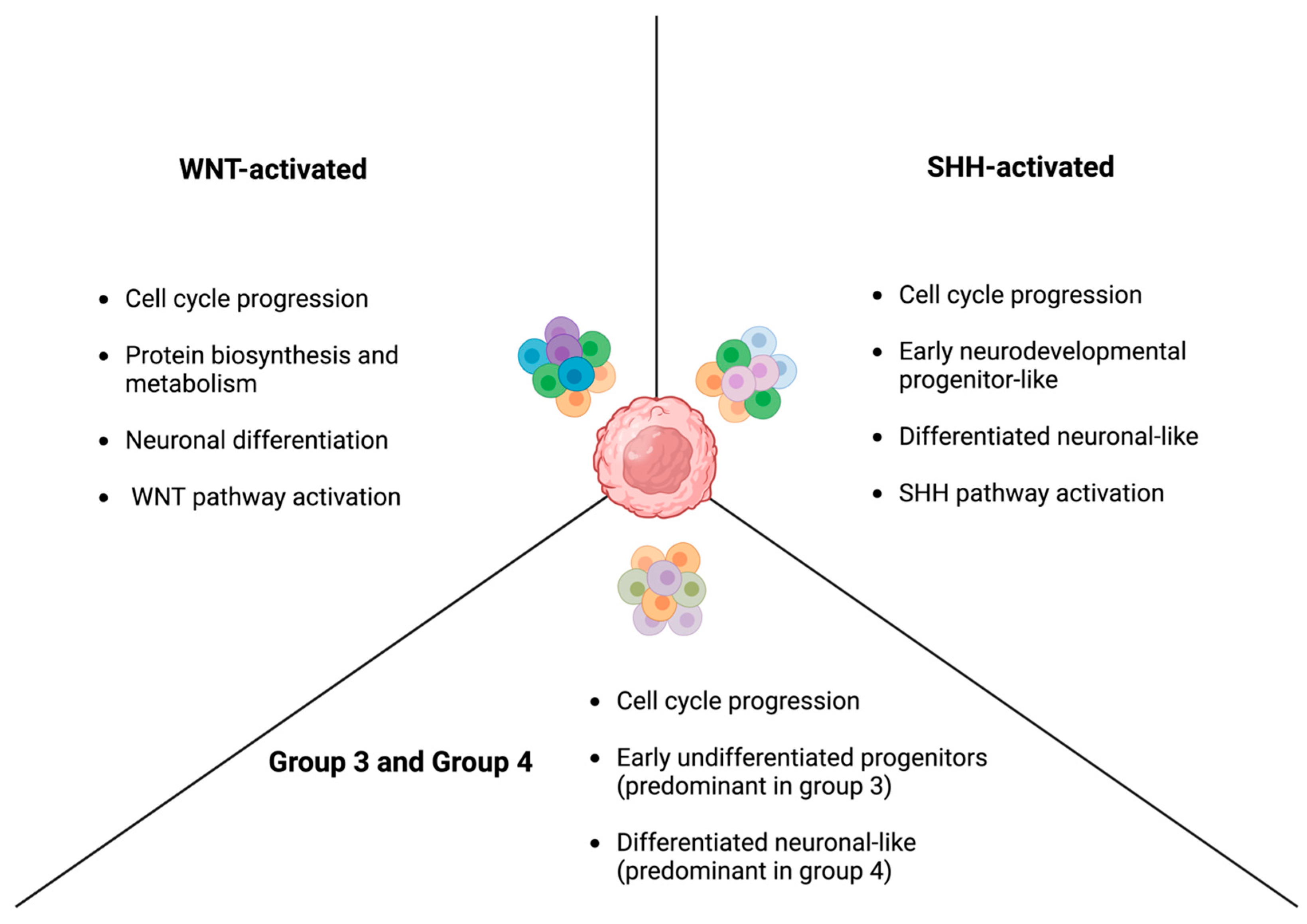 Cancers 16 02249 g002 Cancers 16 02249 g002