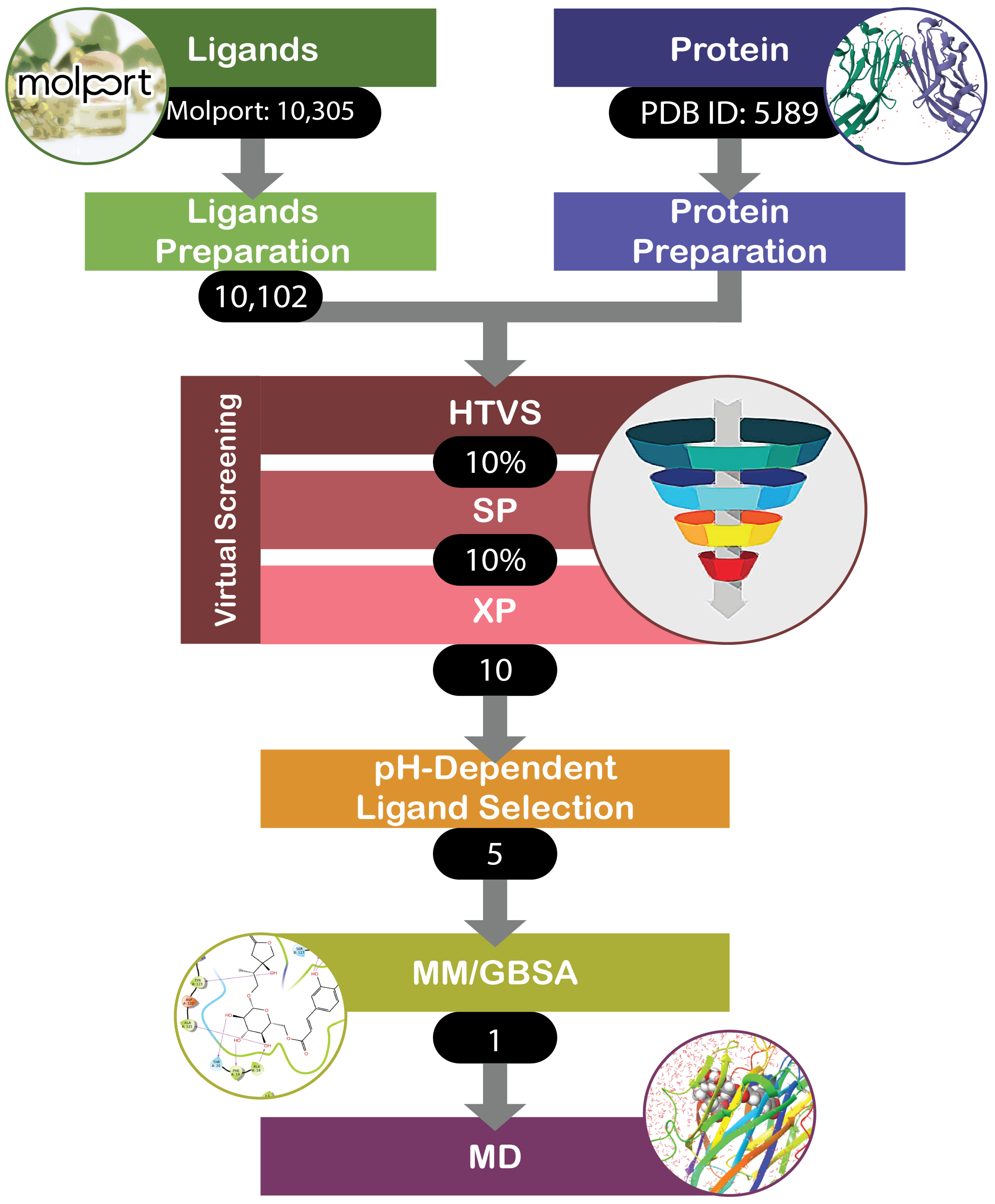 Cancers 16 02295 g002