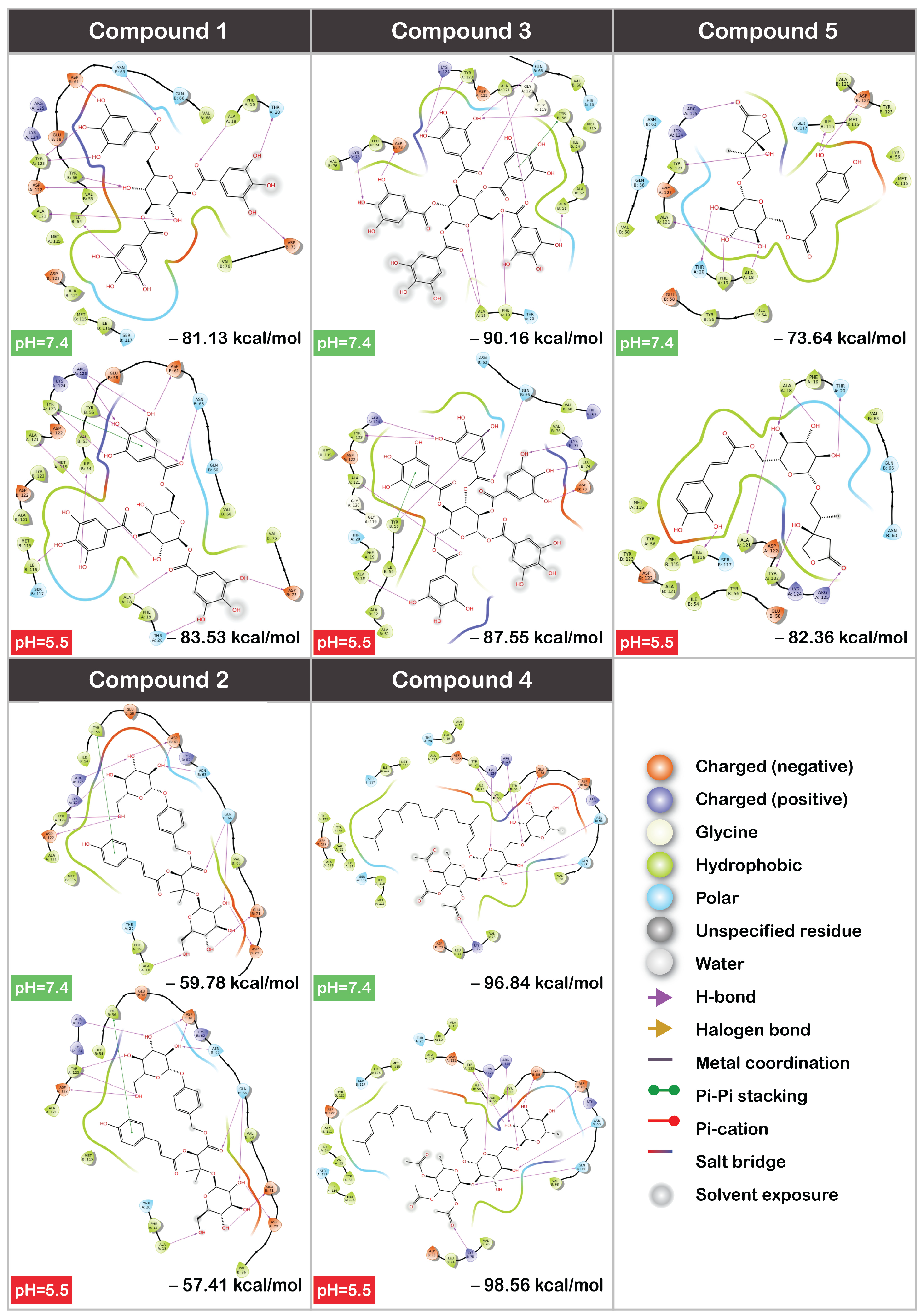 Cancers 16 02295 g006