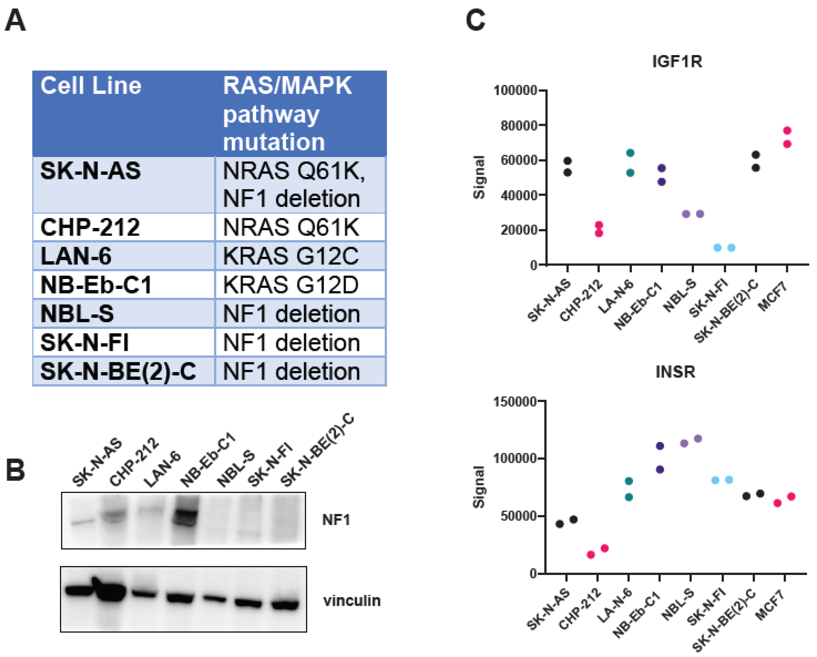 Cancers 16 02320 g001