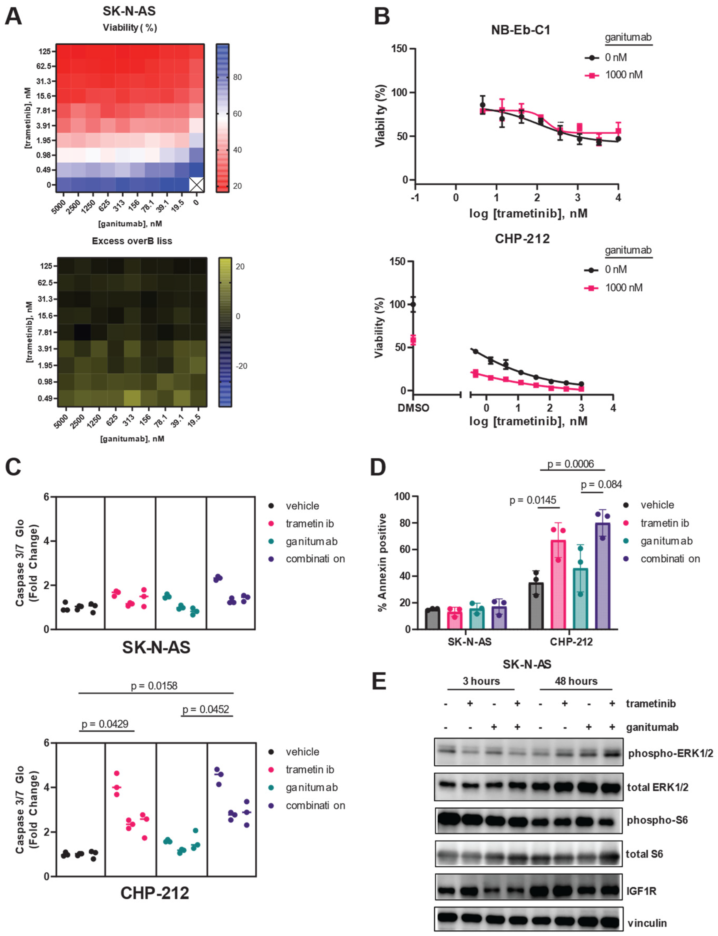 Cancers 16 02320 g003