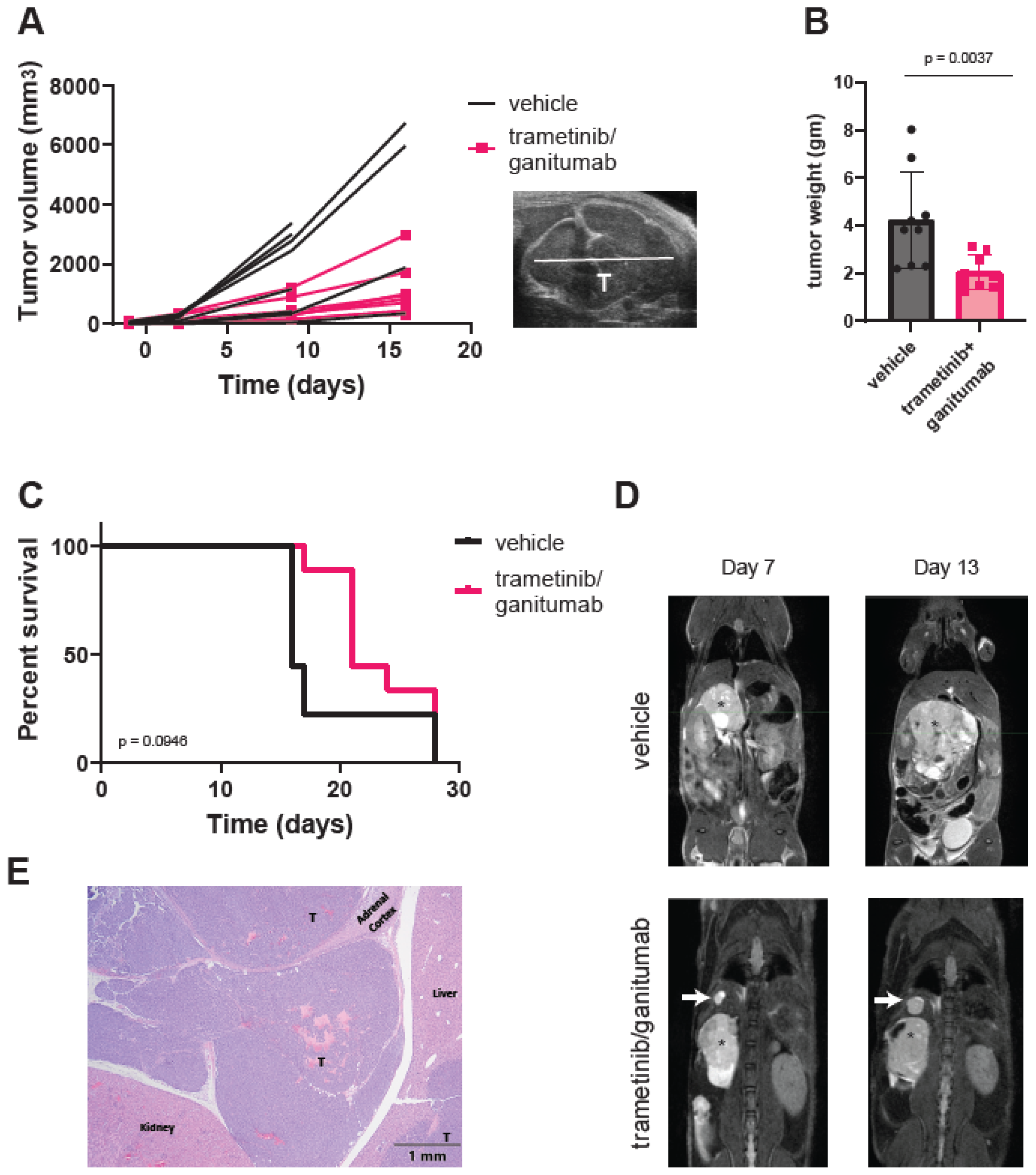 Cancers 16 02320 g005
