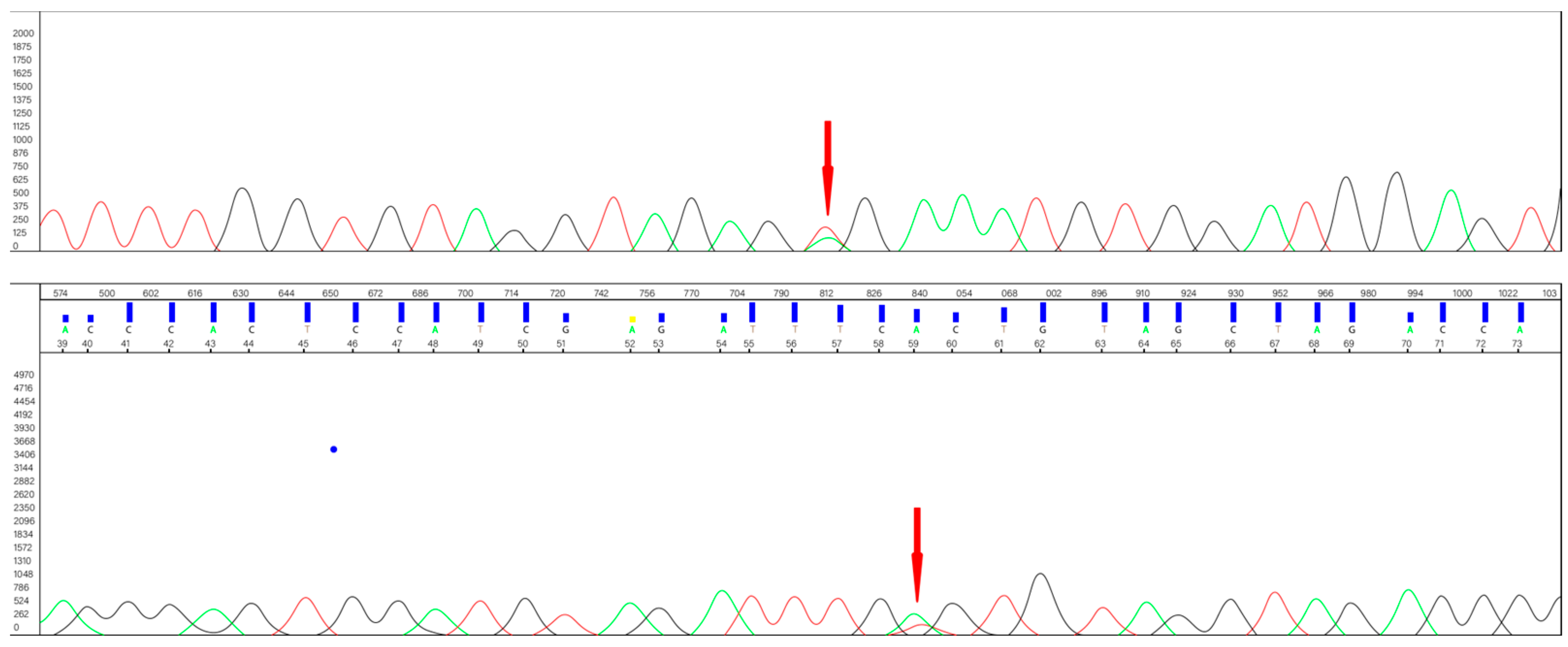 Cancers 16 02322 g001