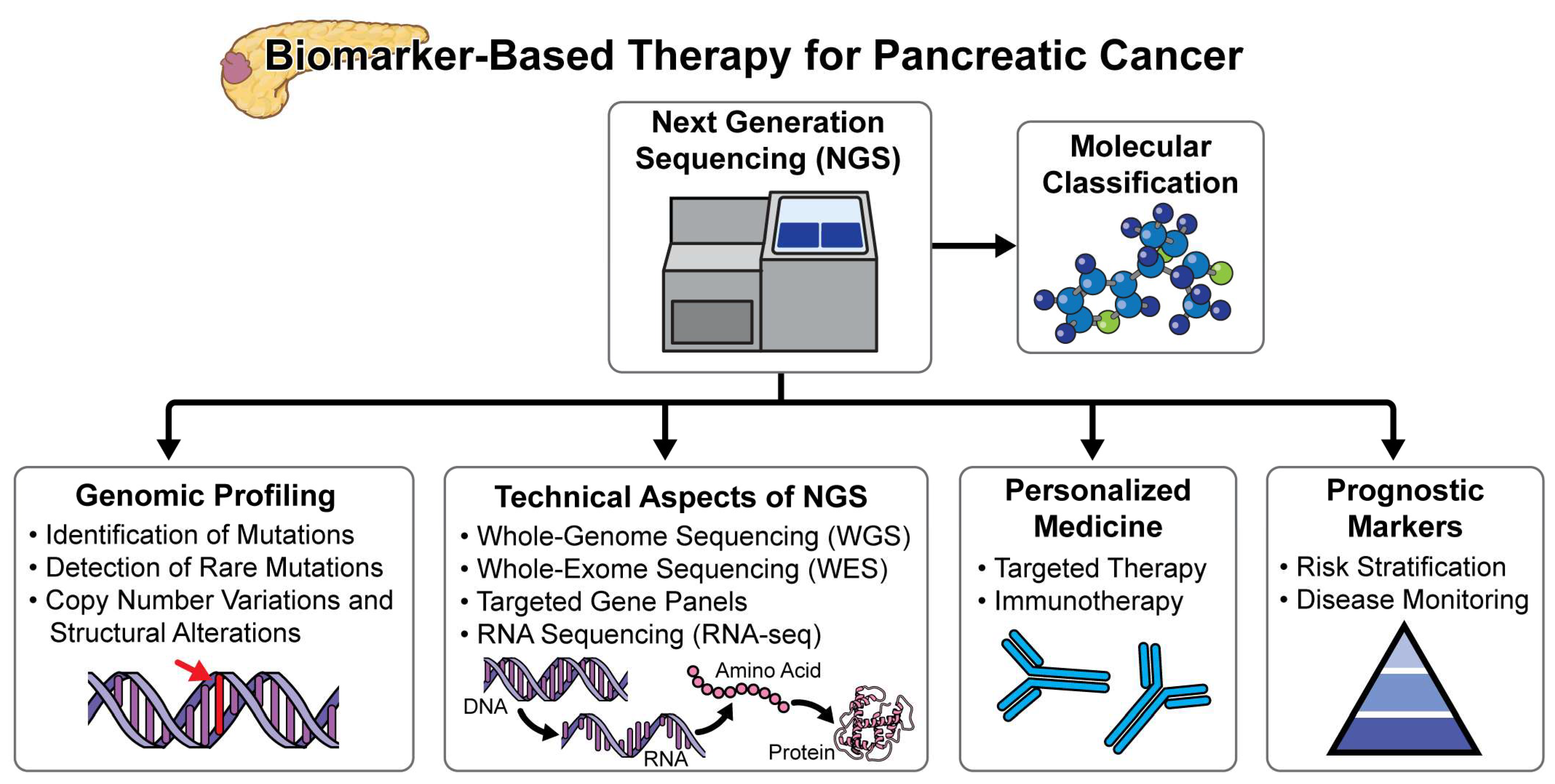 Cancers 16 02329 g002