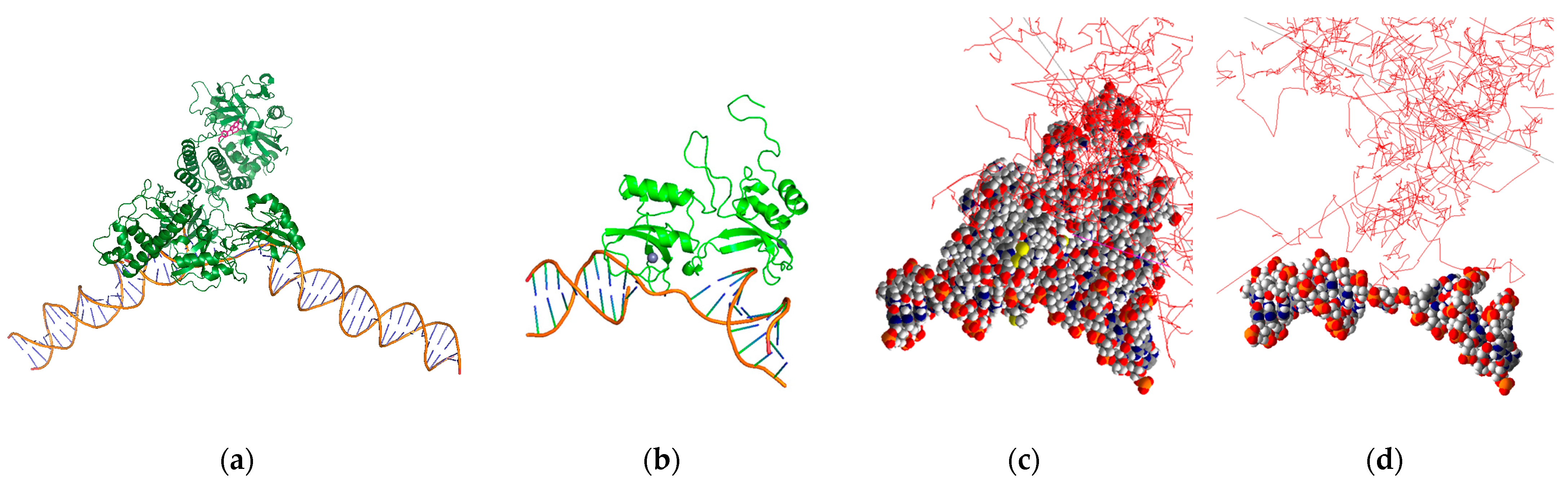 Cancers 16 02349 g004