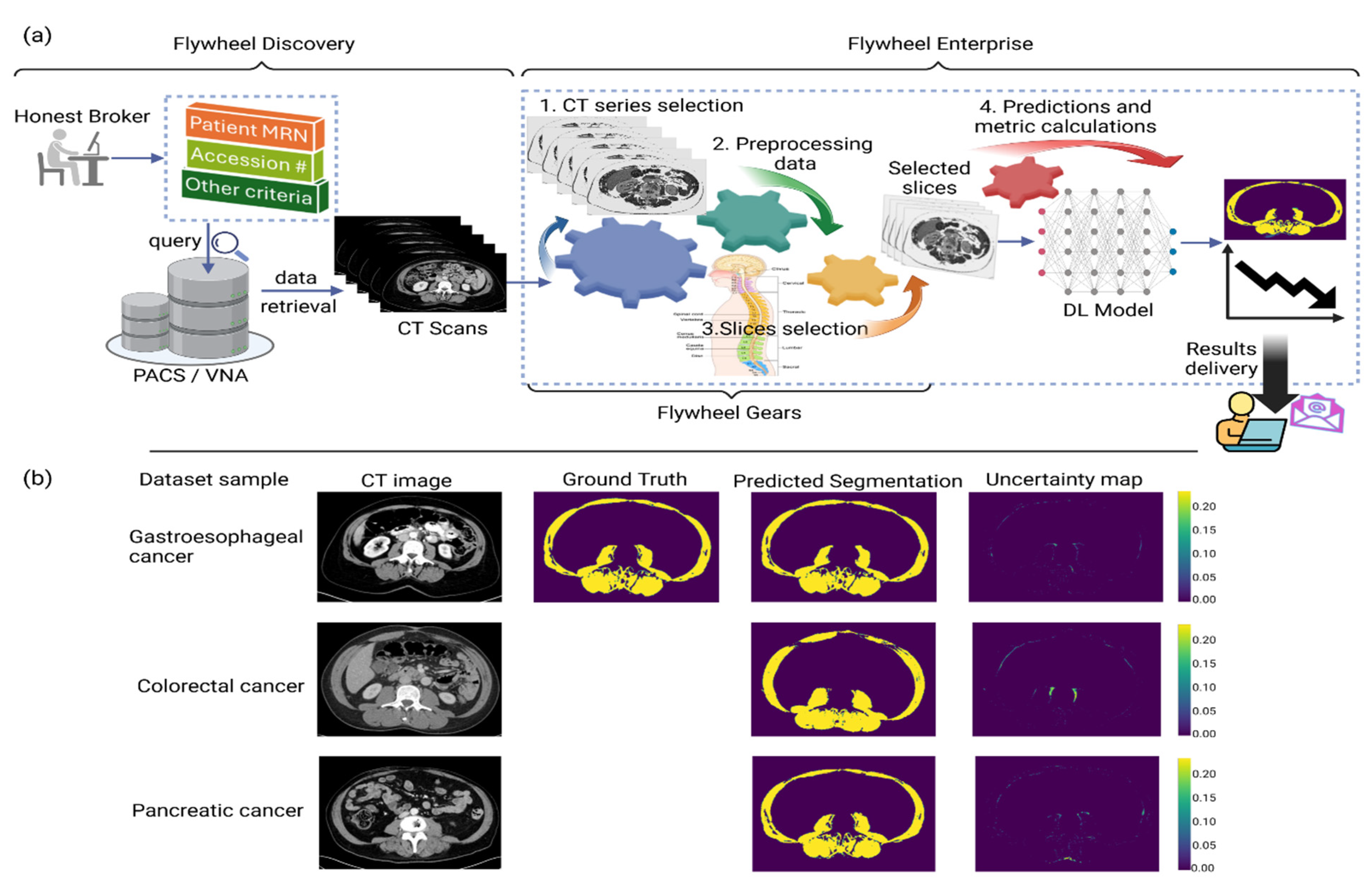 Cancers 16 02364 g001