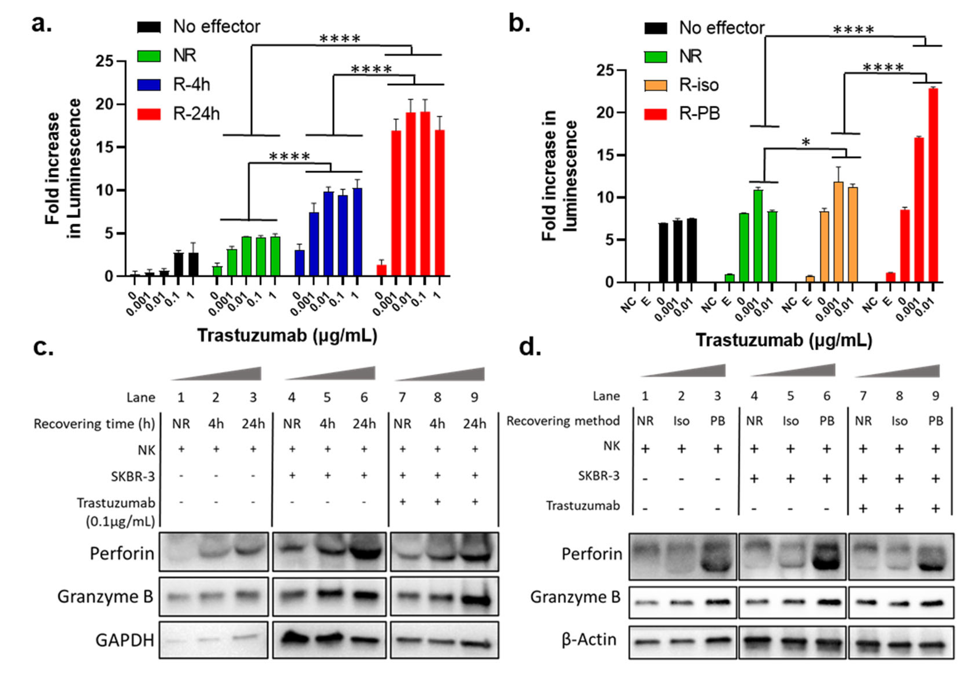 Cancers 16 02367 g002