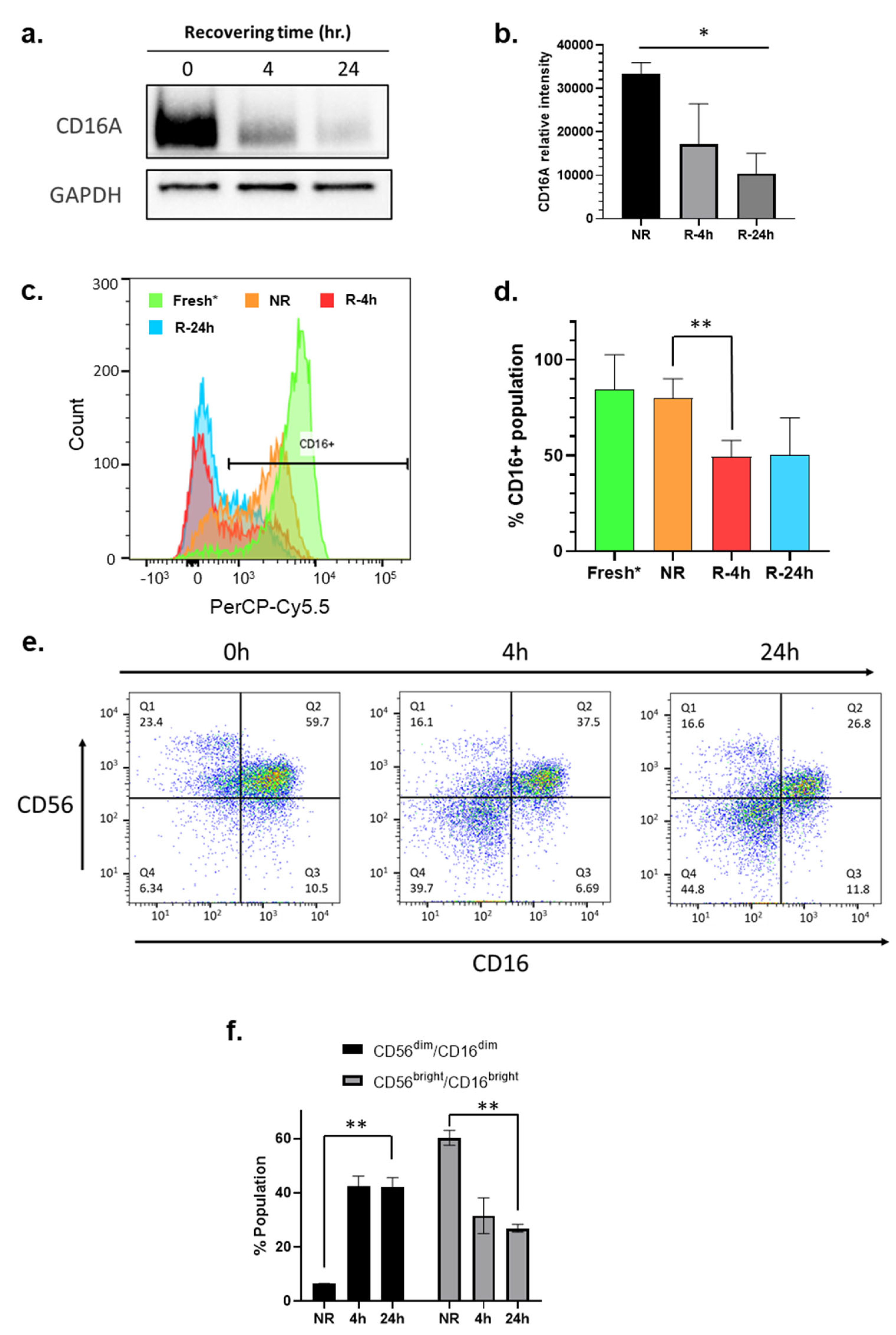 Cancers 16 02367 g004