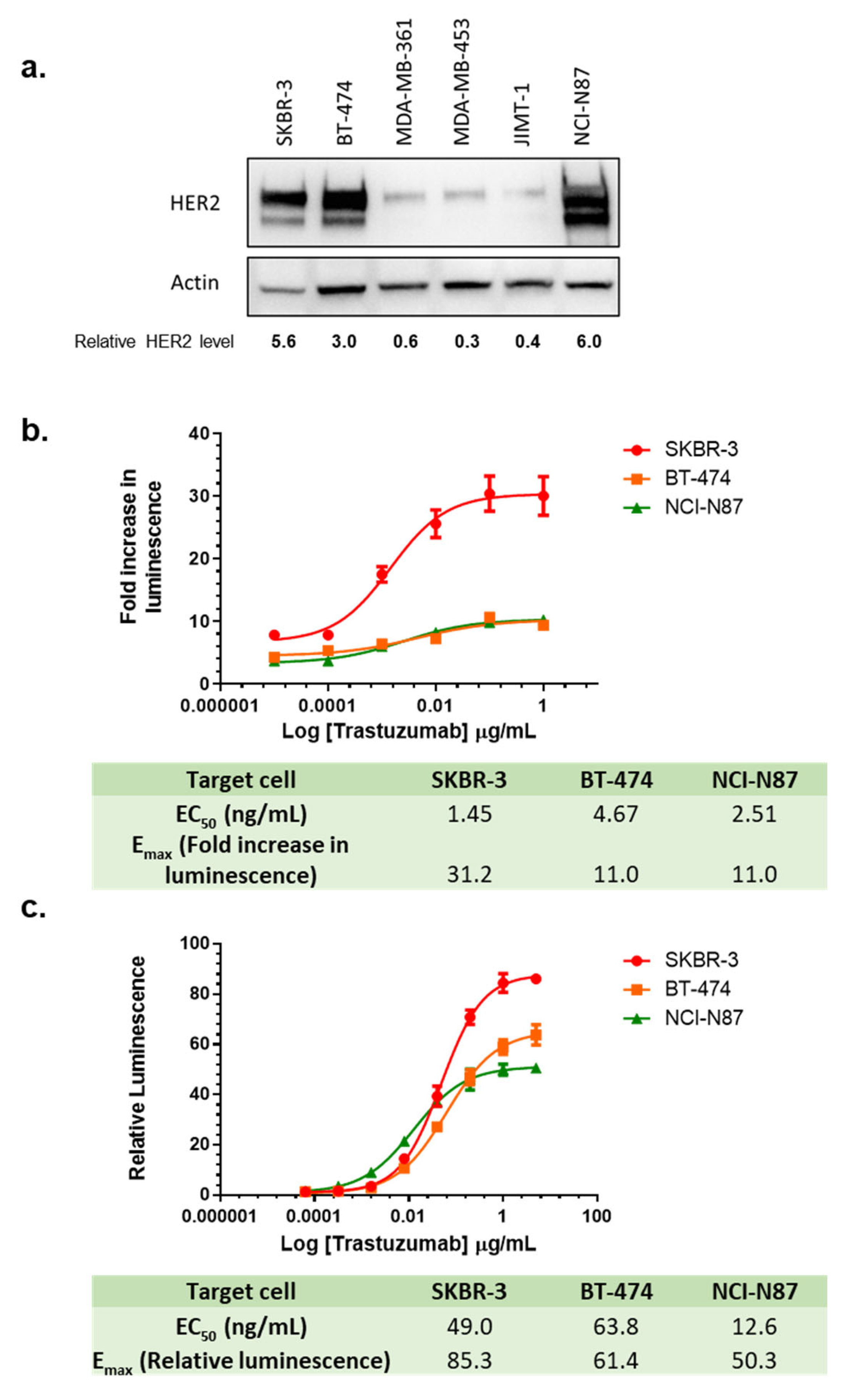 Cancers 16 02367 g006