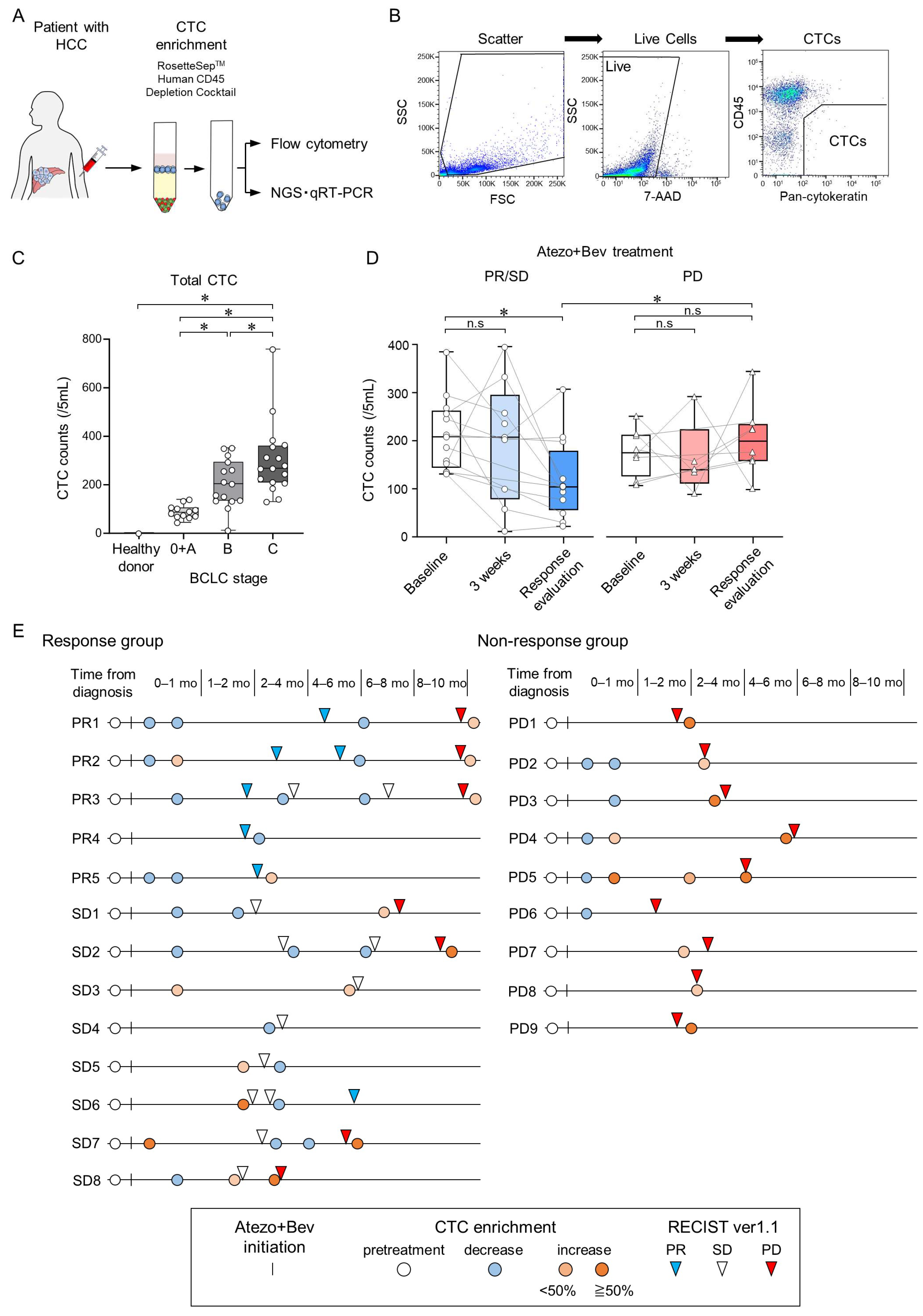Cancers 16 02410 g001
