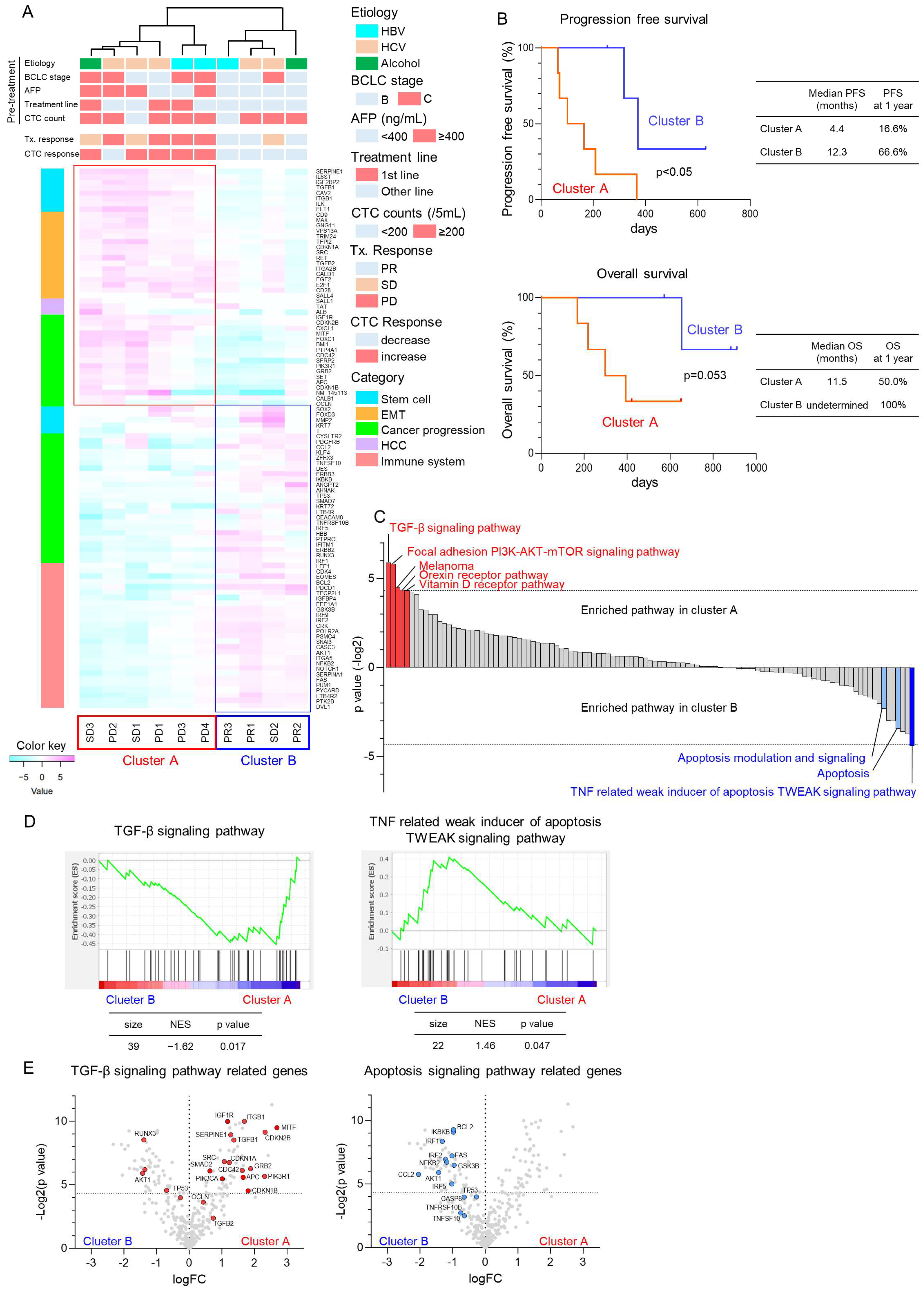 Cancers 16 02410 g002