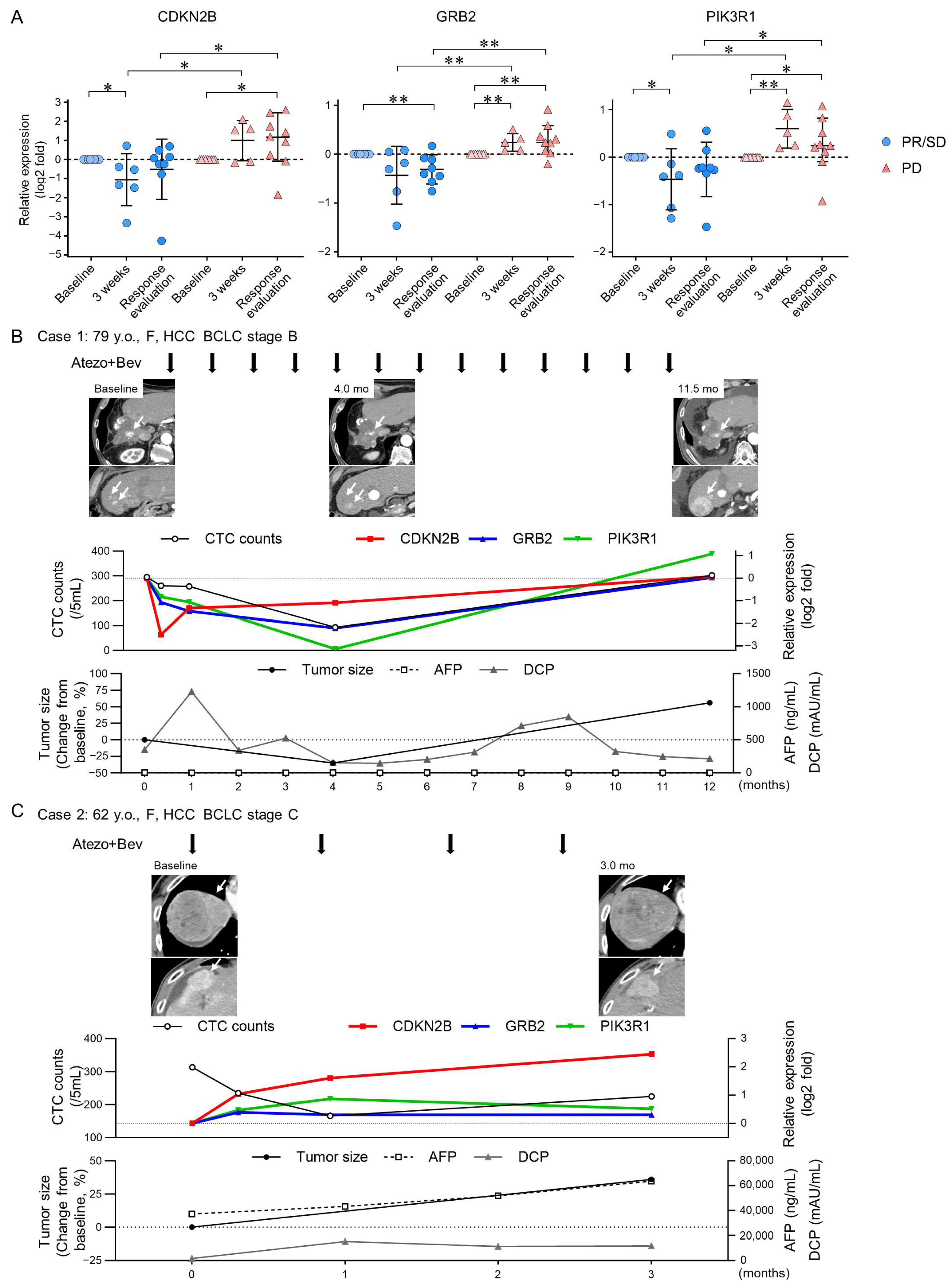 Cancers 16 02410 g003