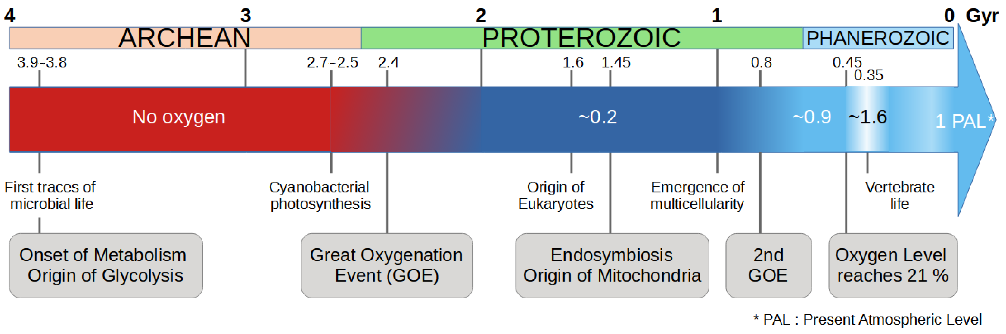 Cancers 16 02415 g001