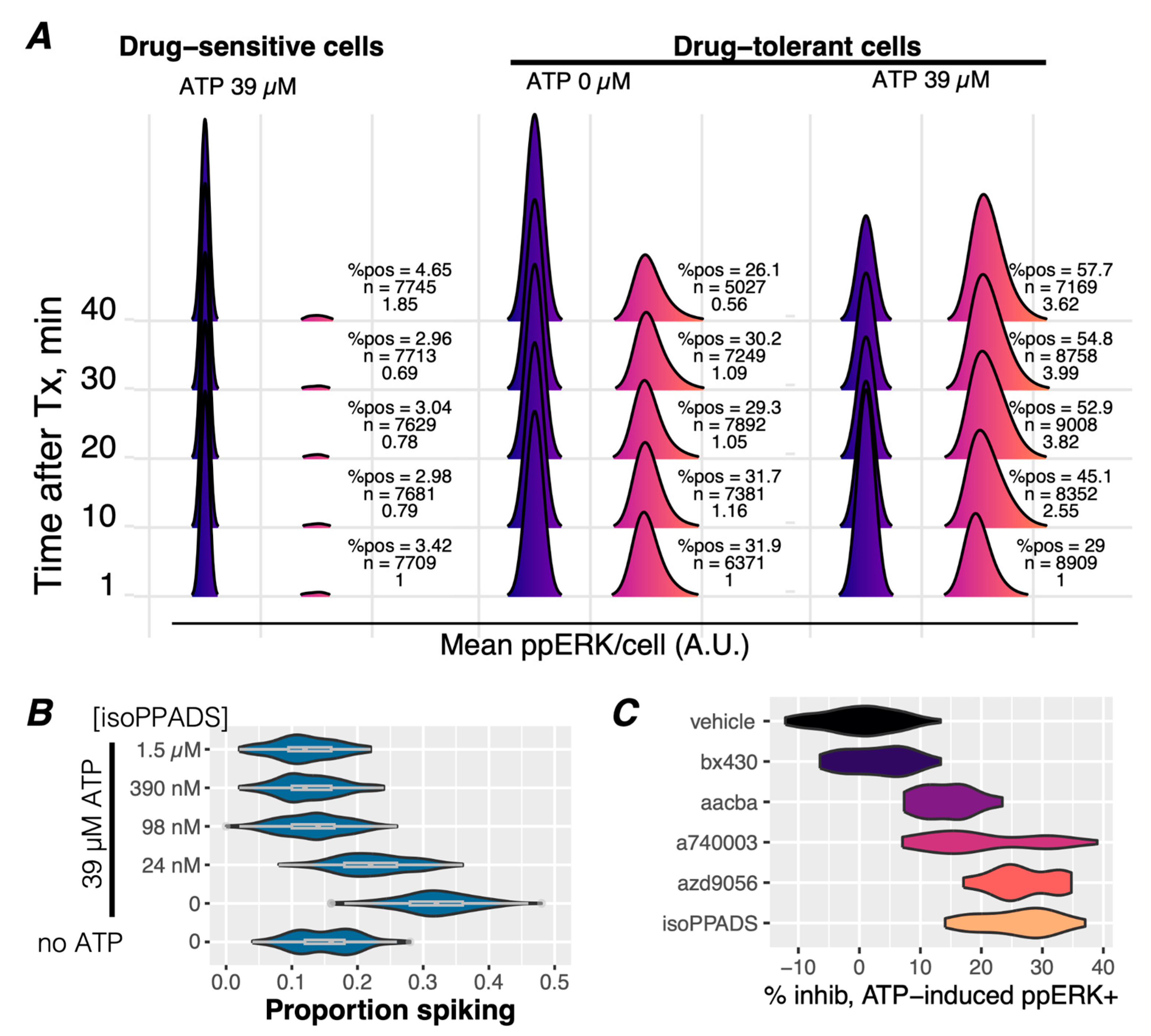 Cancers 16 02426 g003