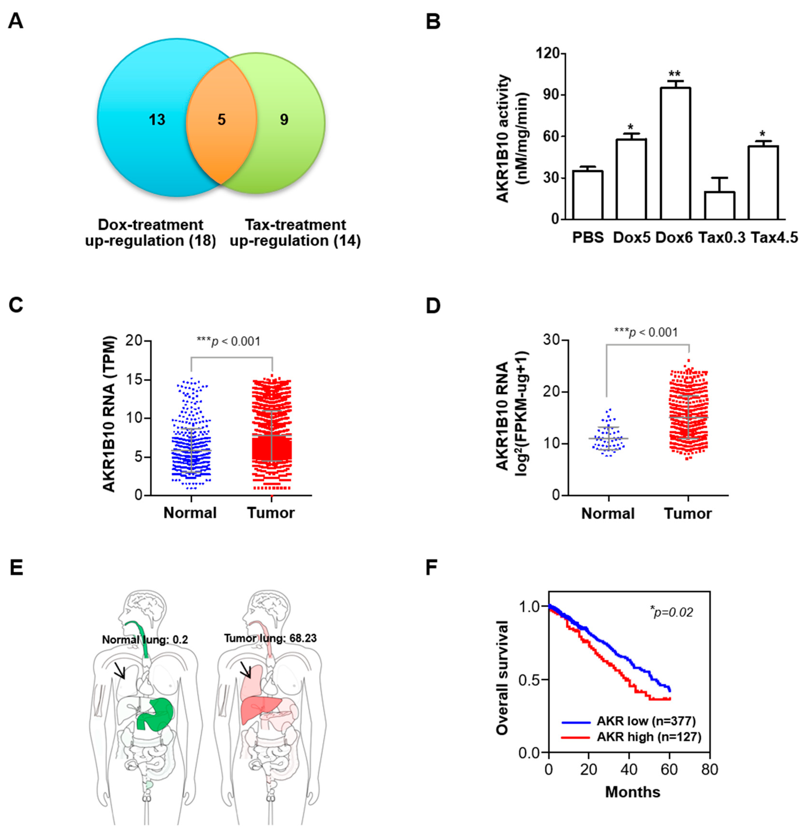 Cancers 16 02428 g003