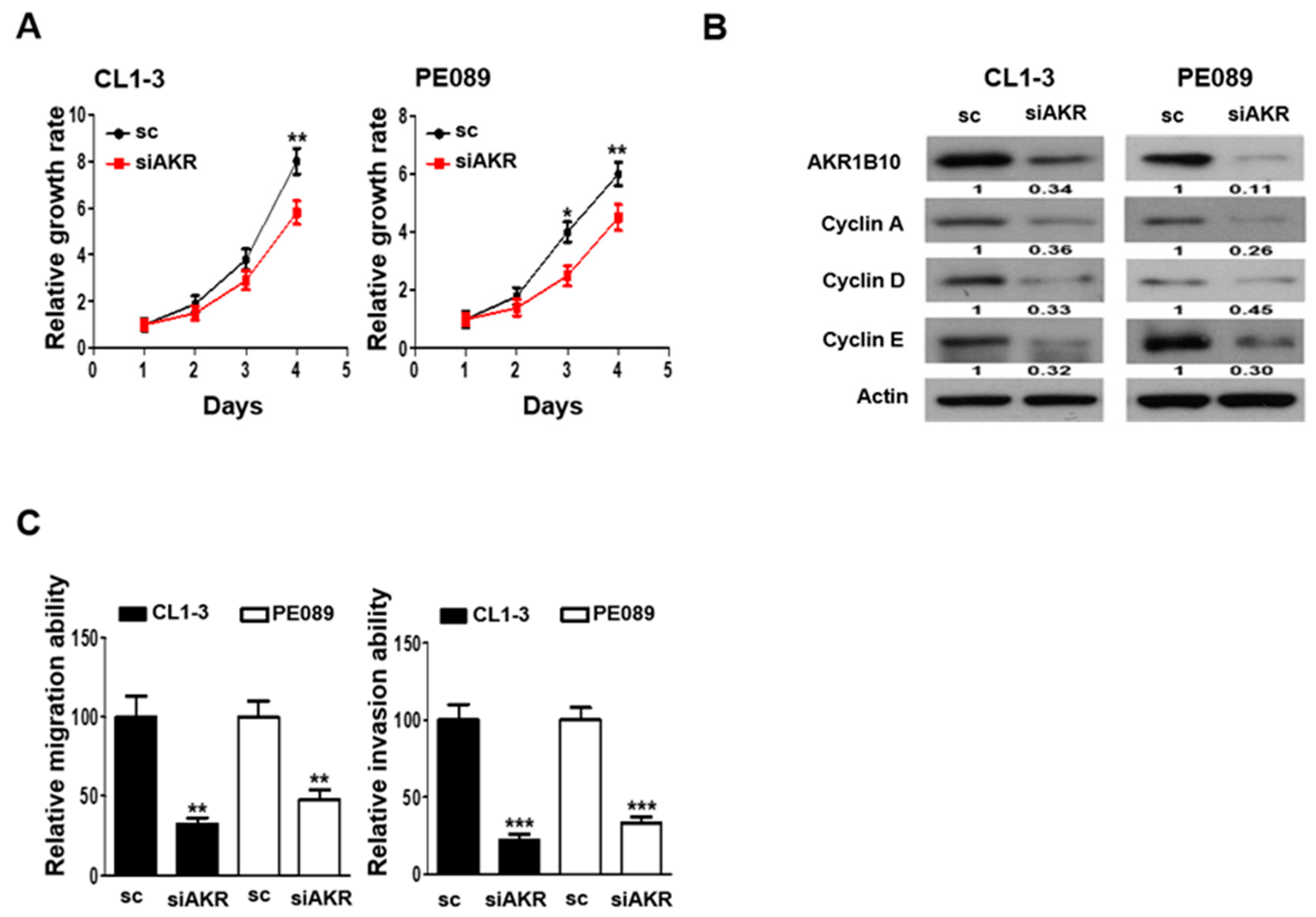 Cancers 16 02428 g004