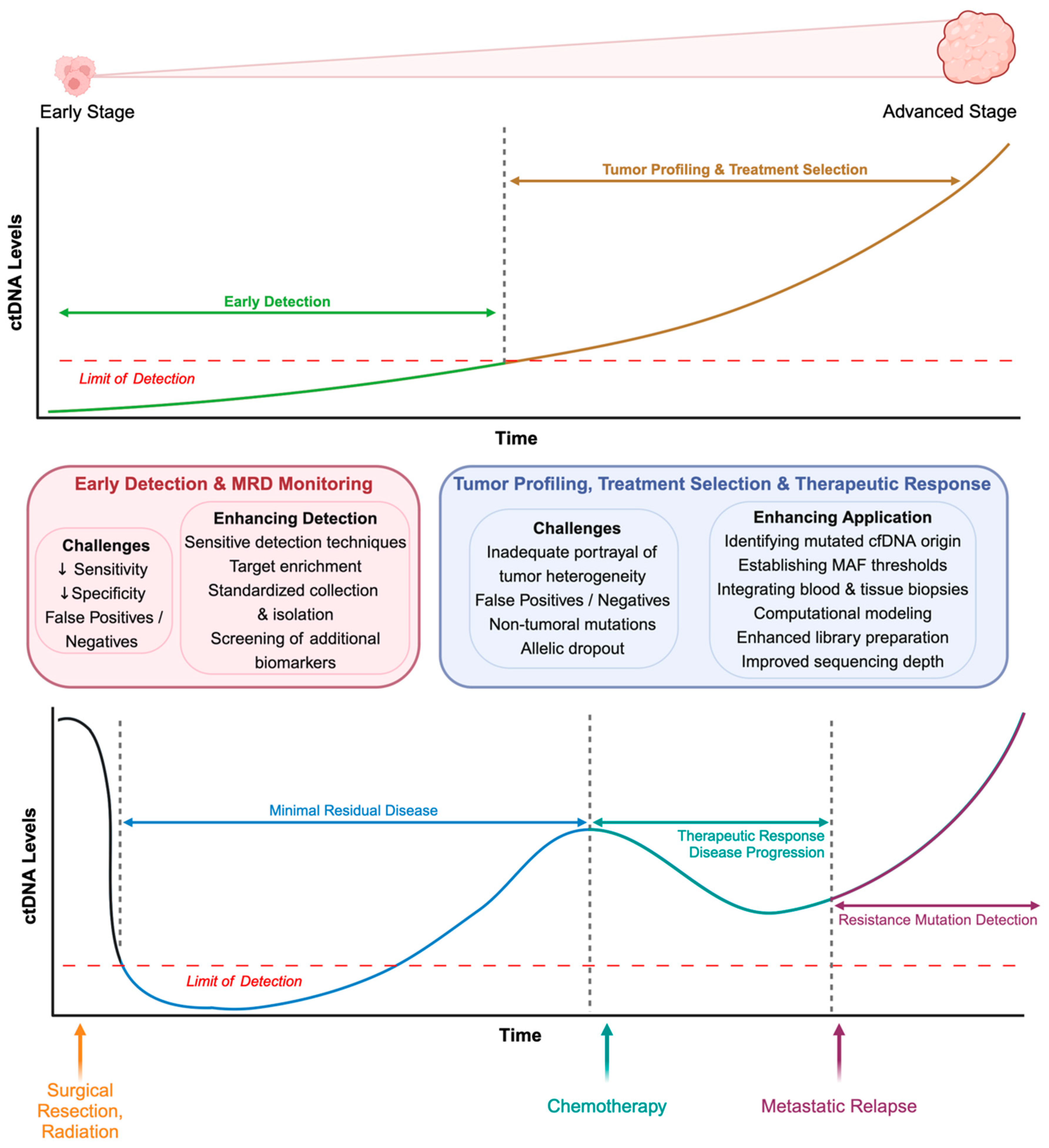 Cancers 16 02432 g003