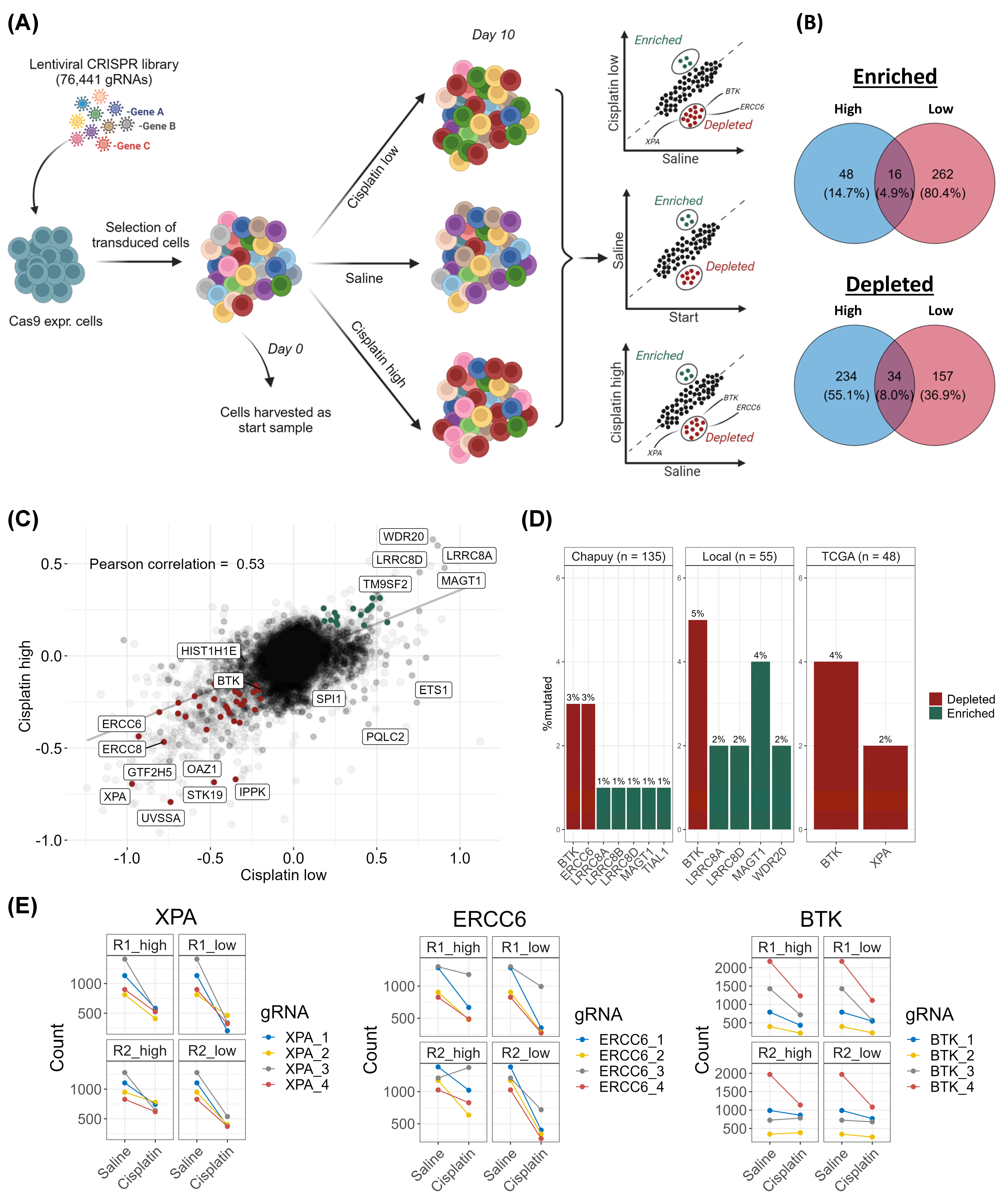 Cancers 16 02437 g001