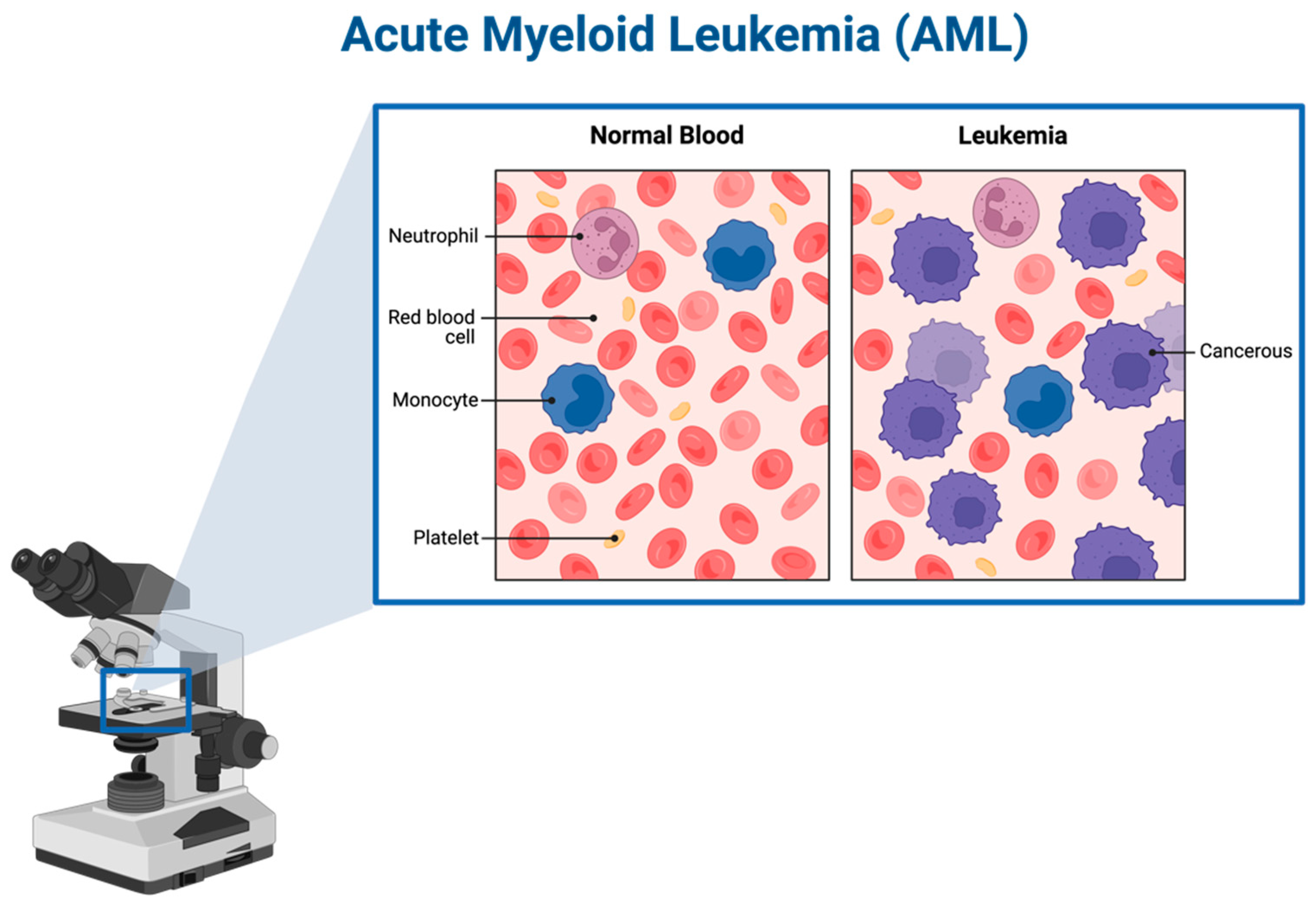 Cancers 16 02474 g001