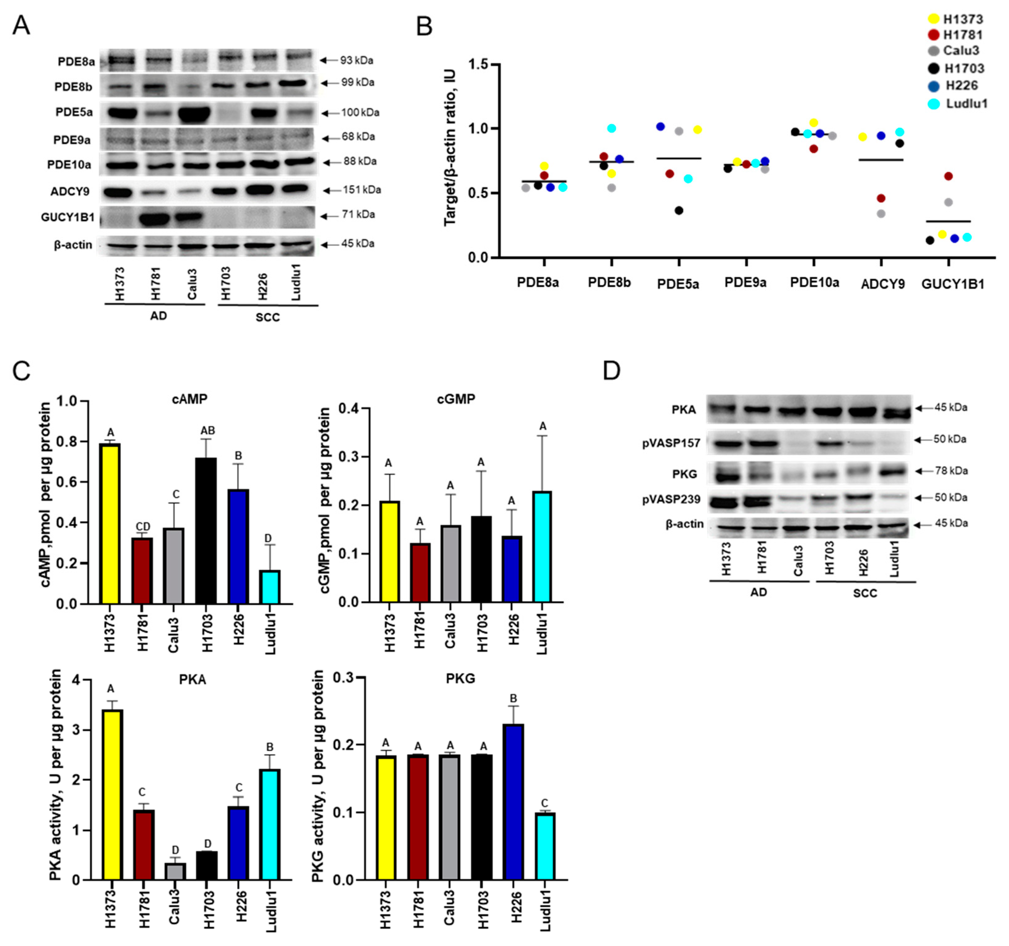 Cancers 16 02475 g001