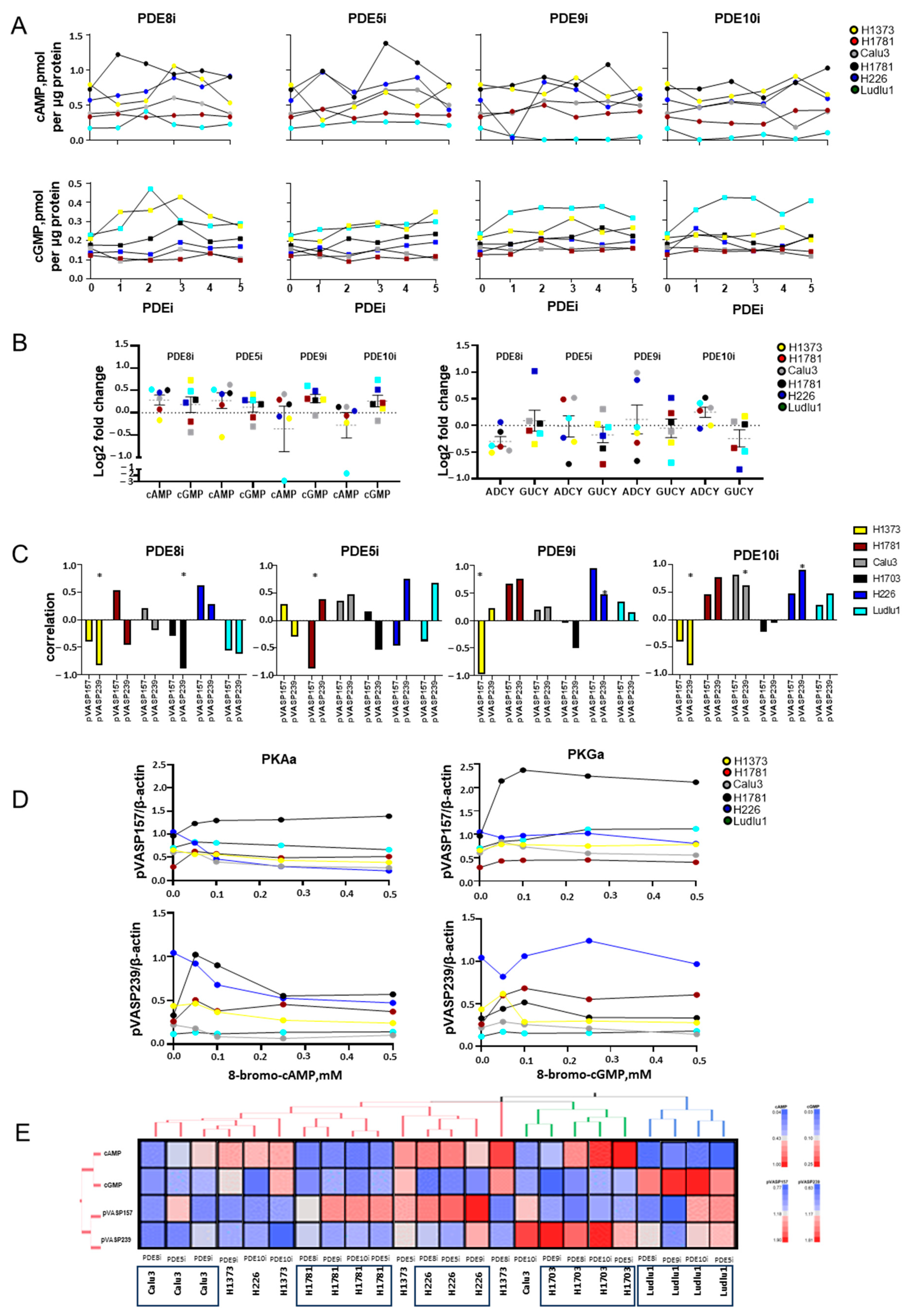 Cancers 16 02475 g002