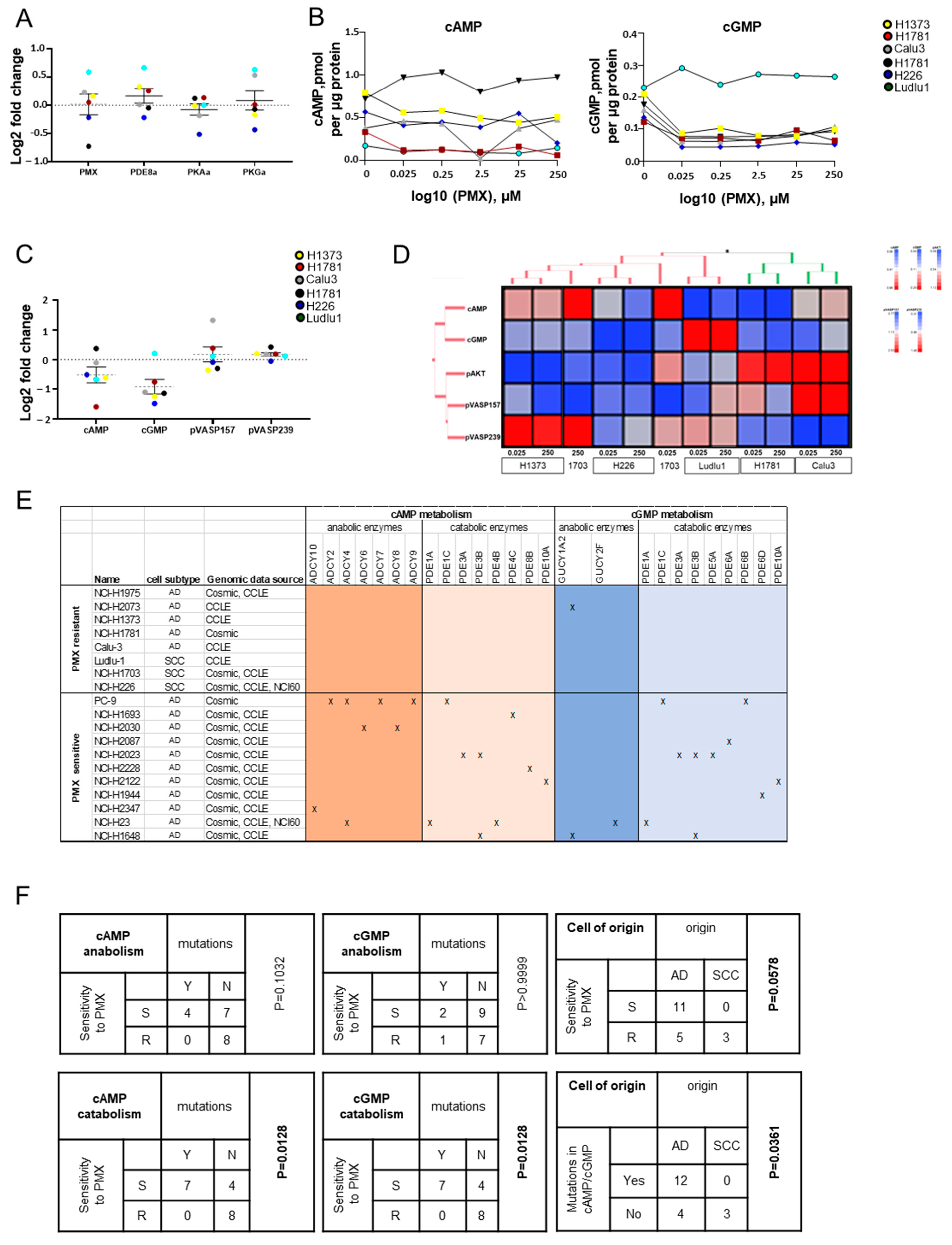 Cancers 16 02475 g004