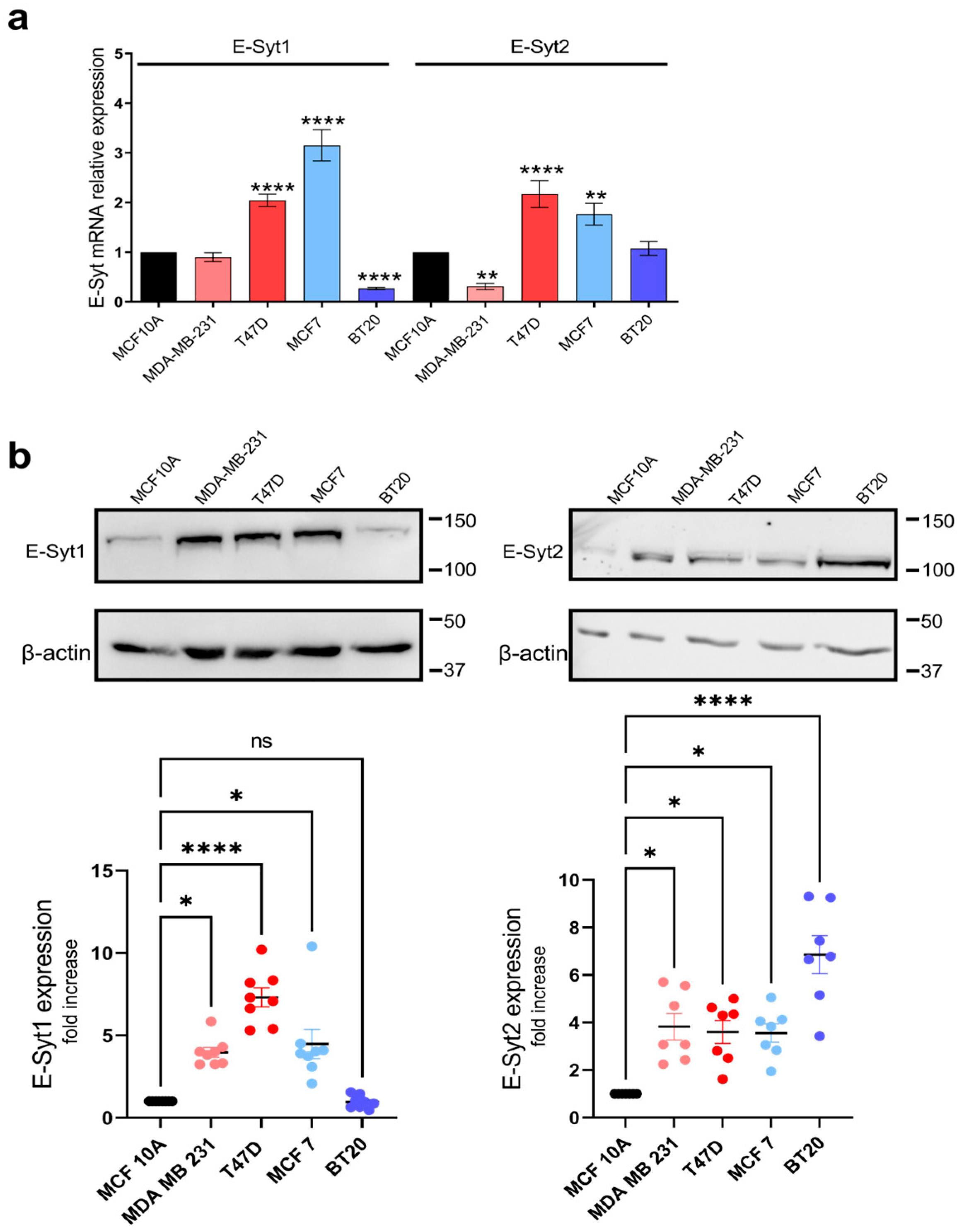 Cancers 16 02518 g001