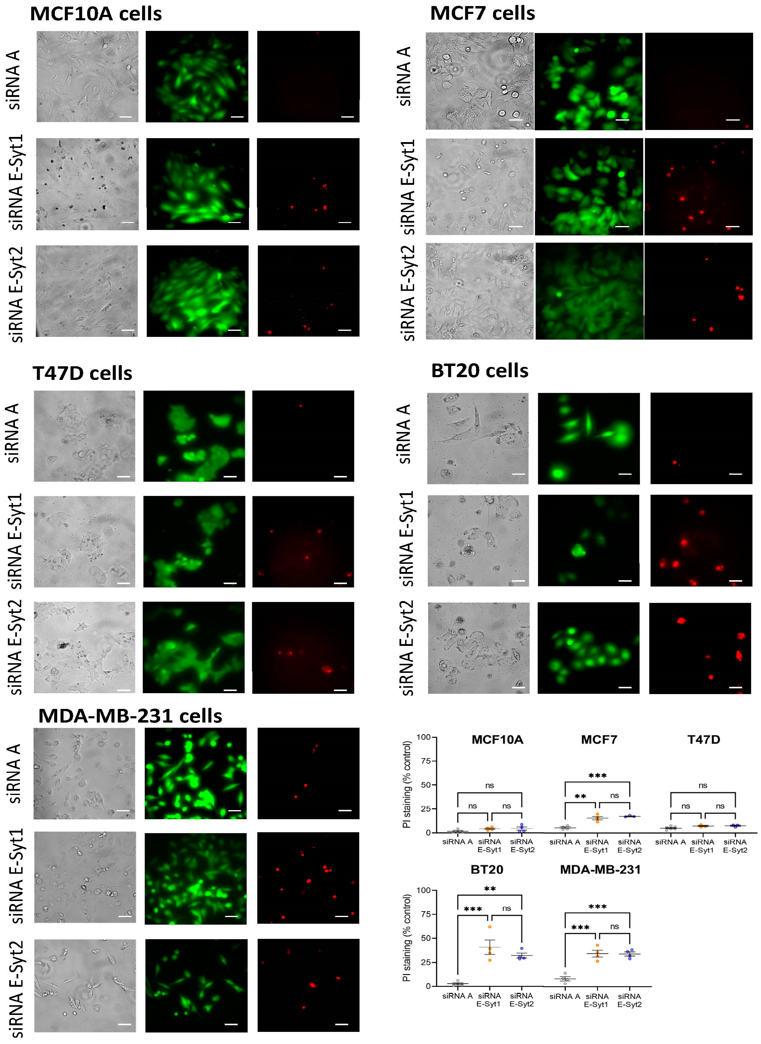 Cancers 16 02518 g004
