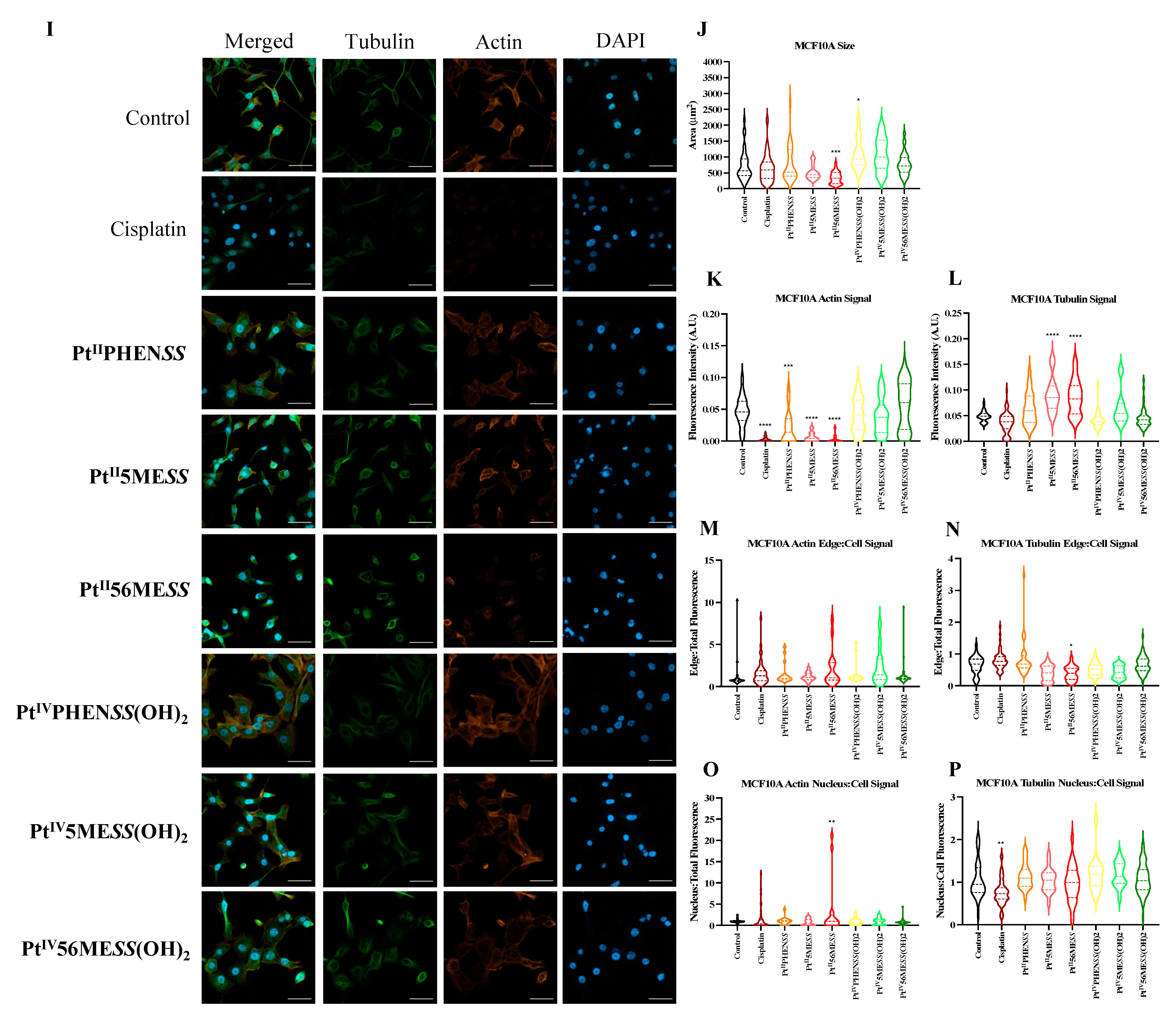 Cancers 16 02544 g010b