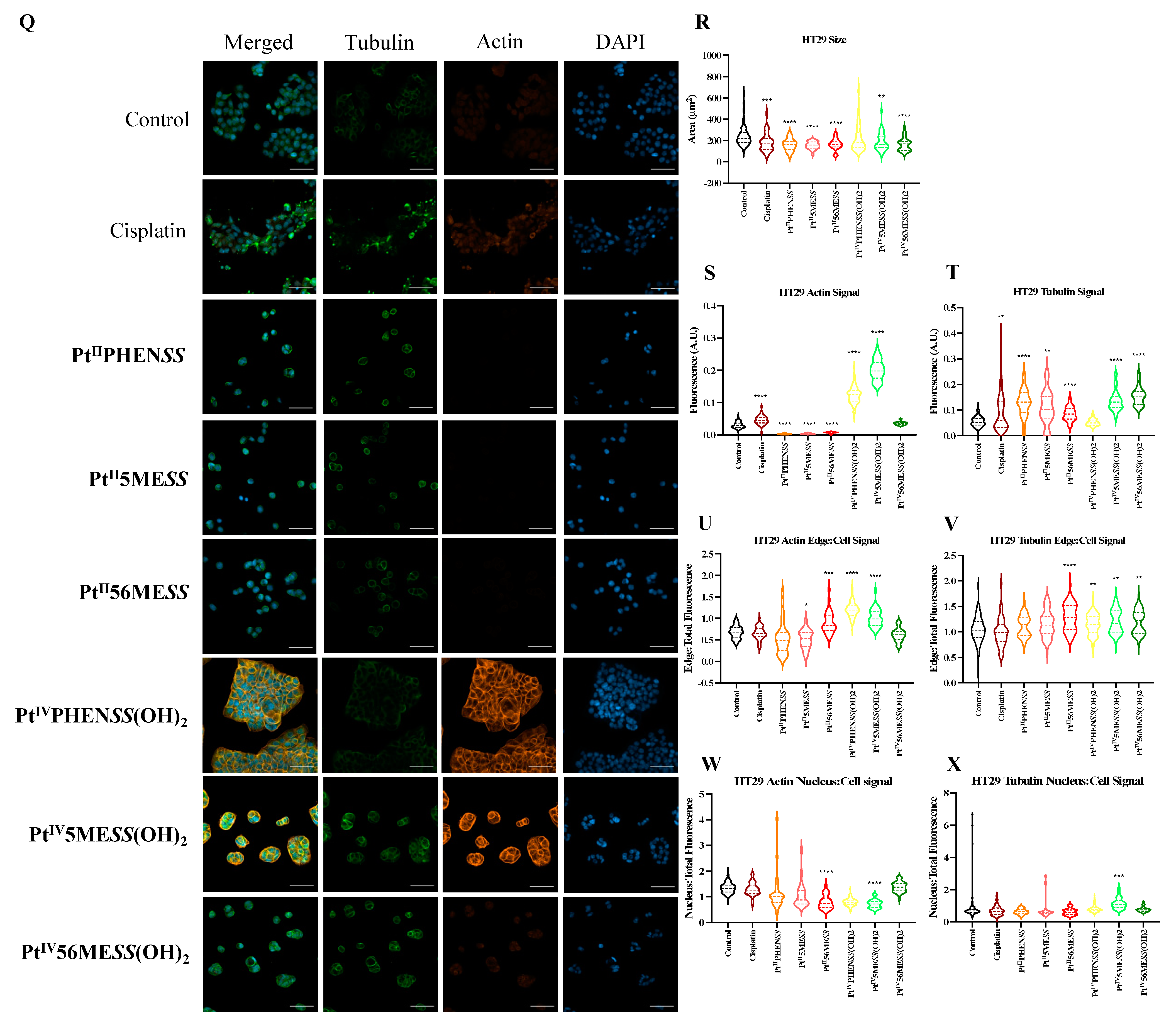 Cancers 16 02544 g010c
