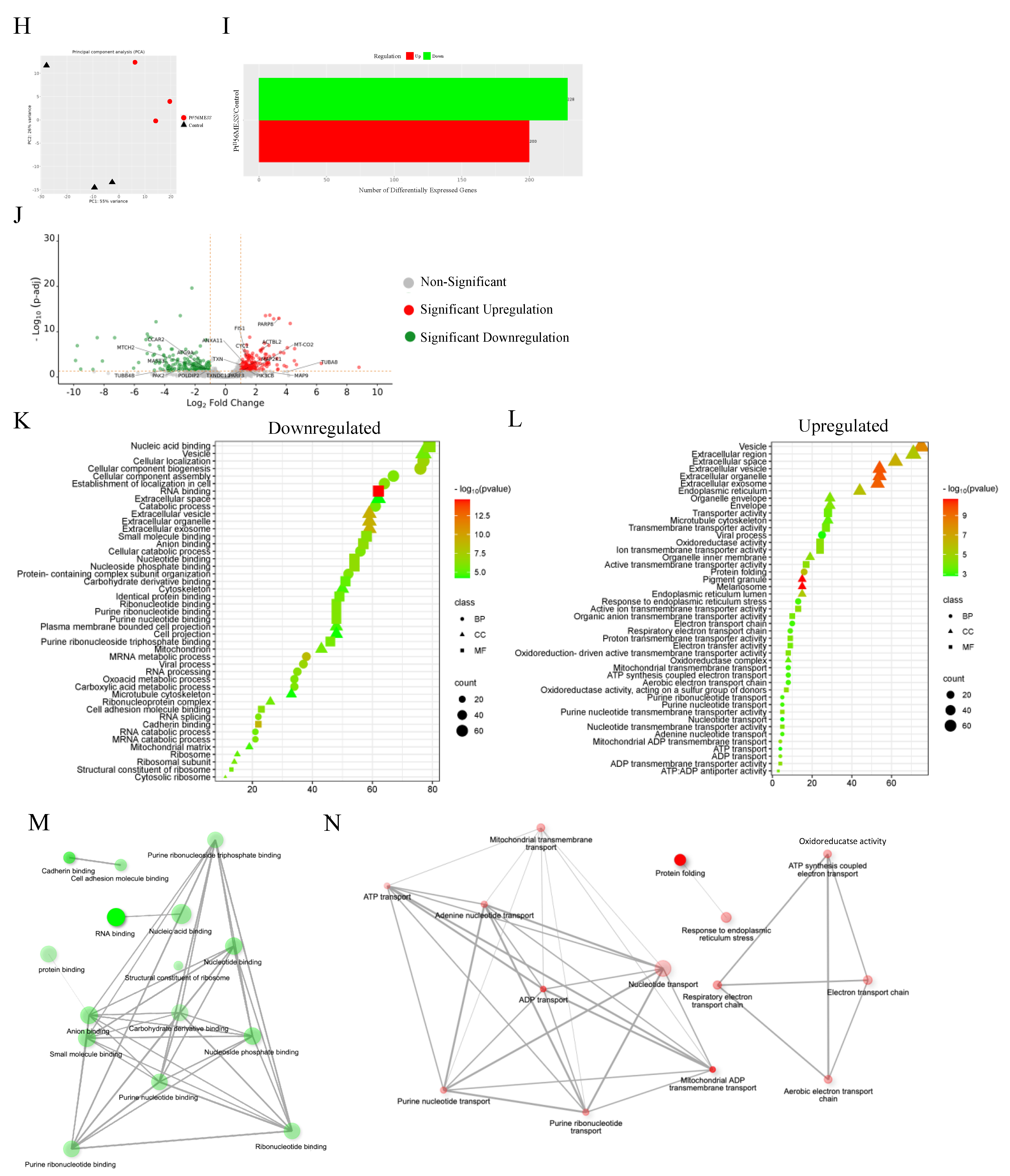 Cancers 16 02544 g015b