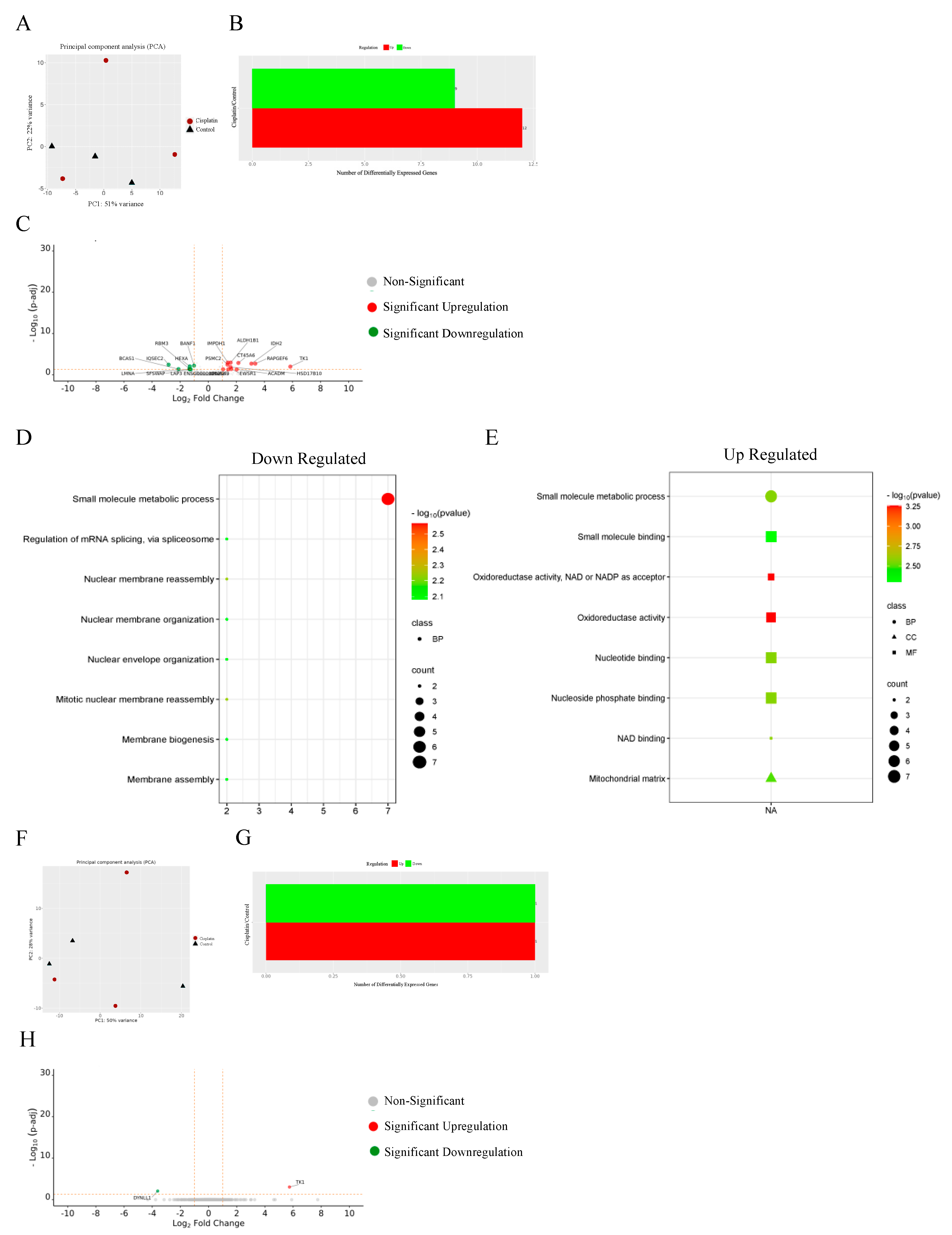 Cancers 16 02544 g016