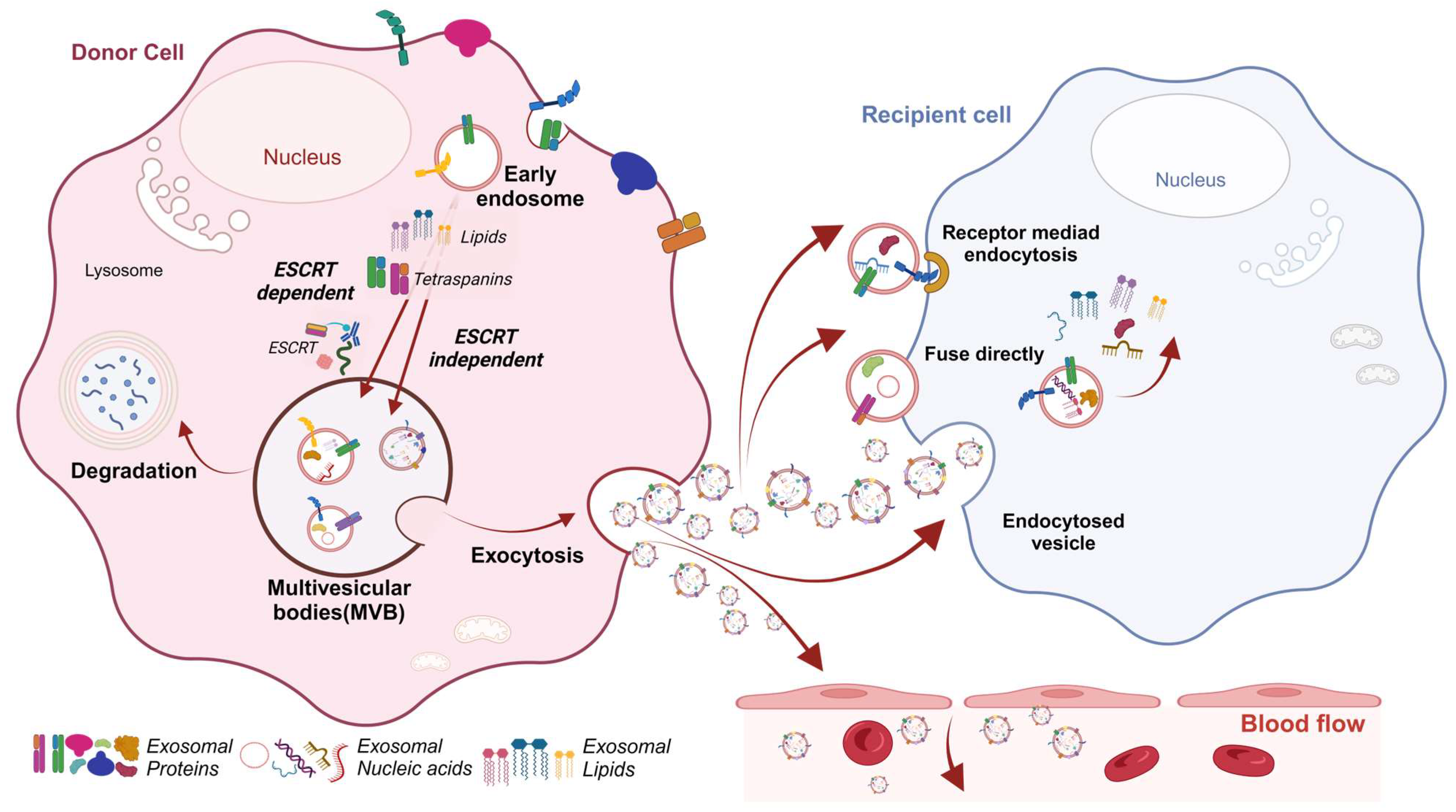 Cancers 16 02552 g001