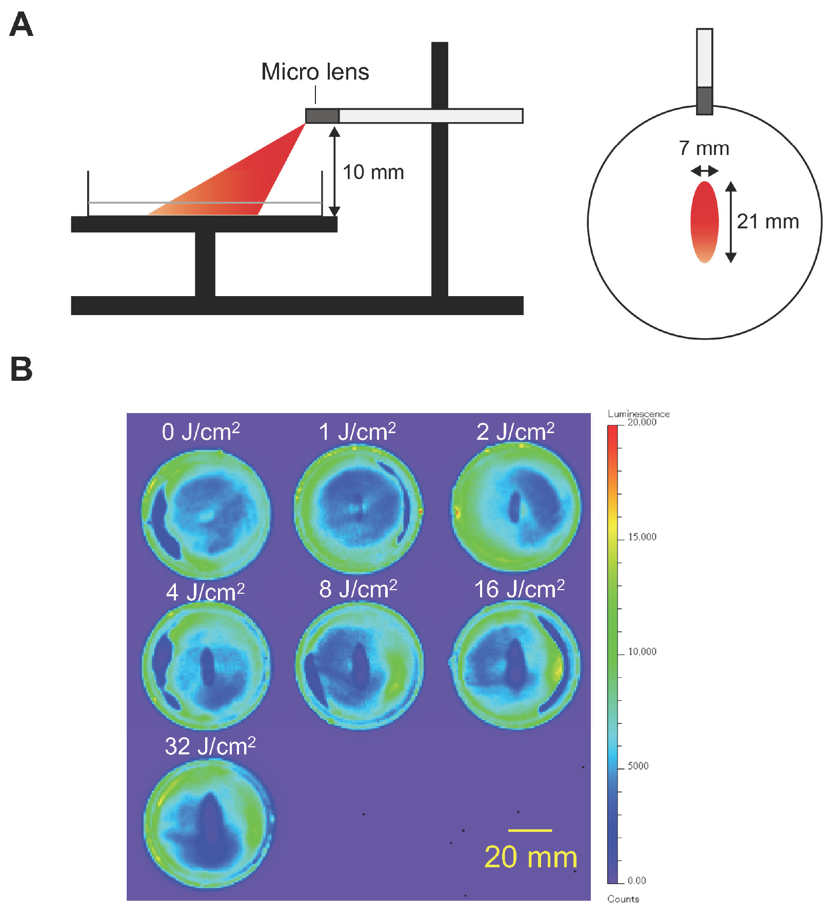 Cancers 16 02558 g002