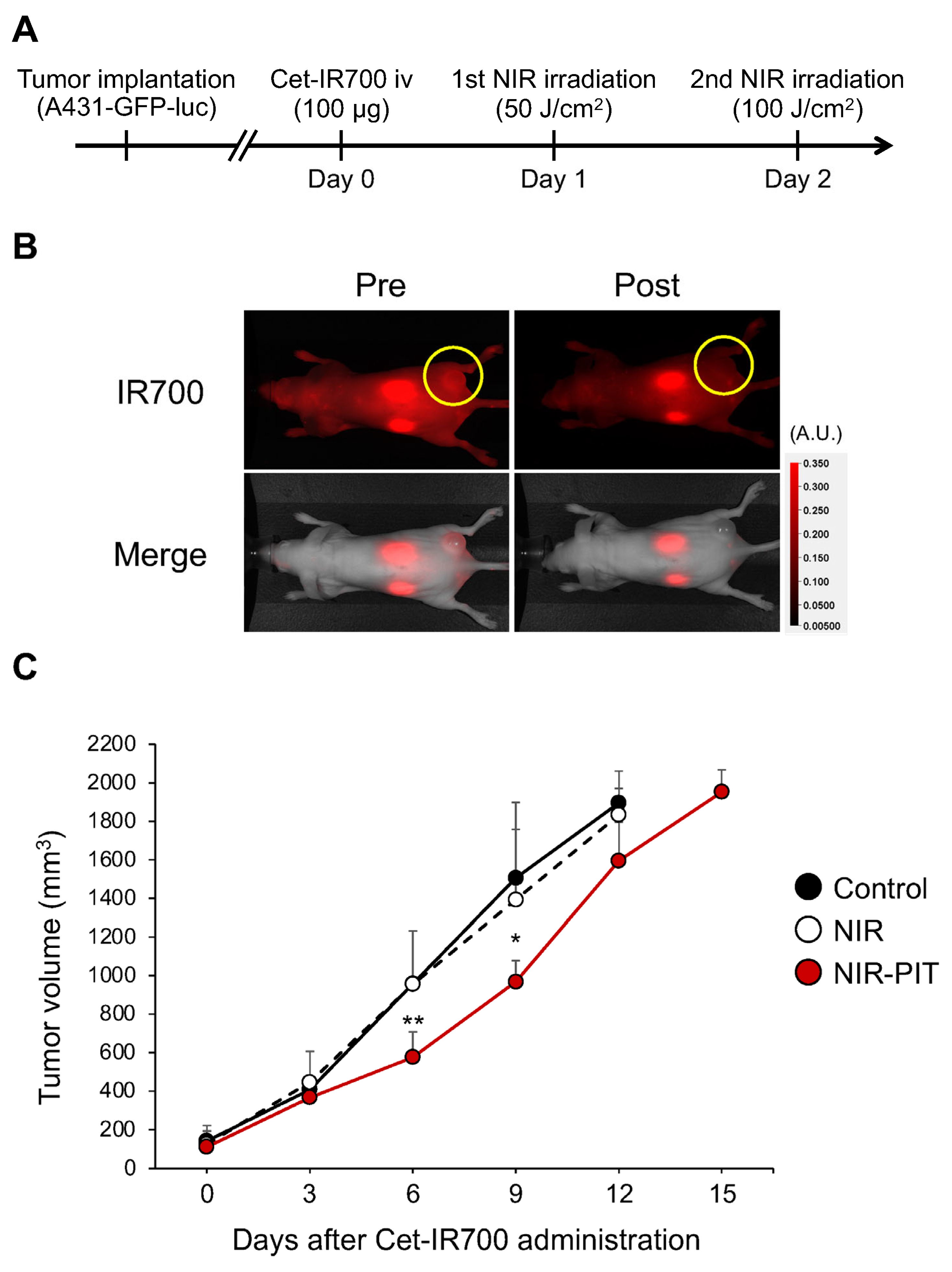 Cancers 16 02558 g003