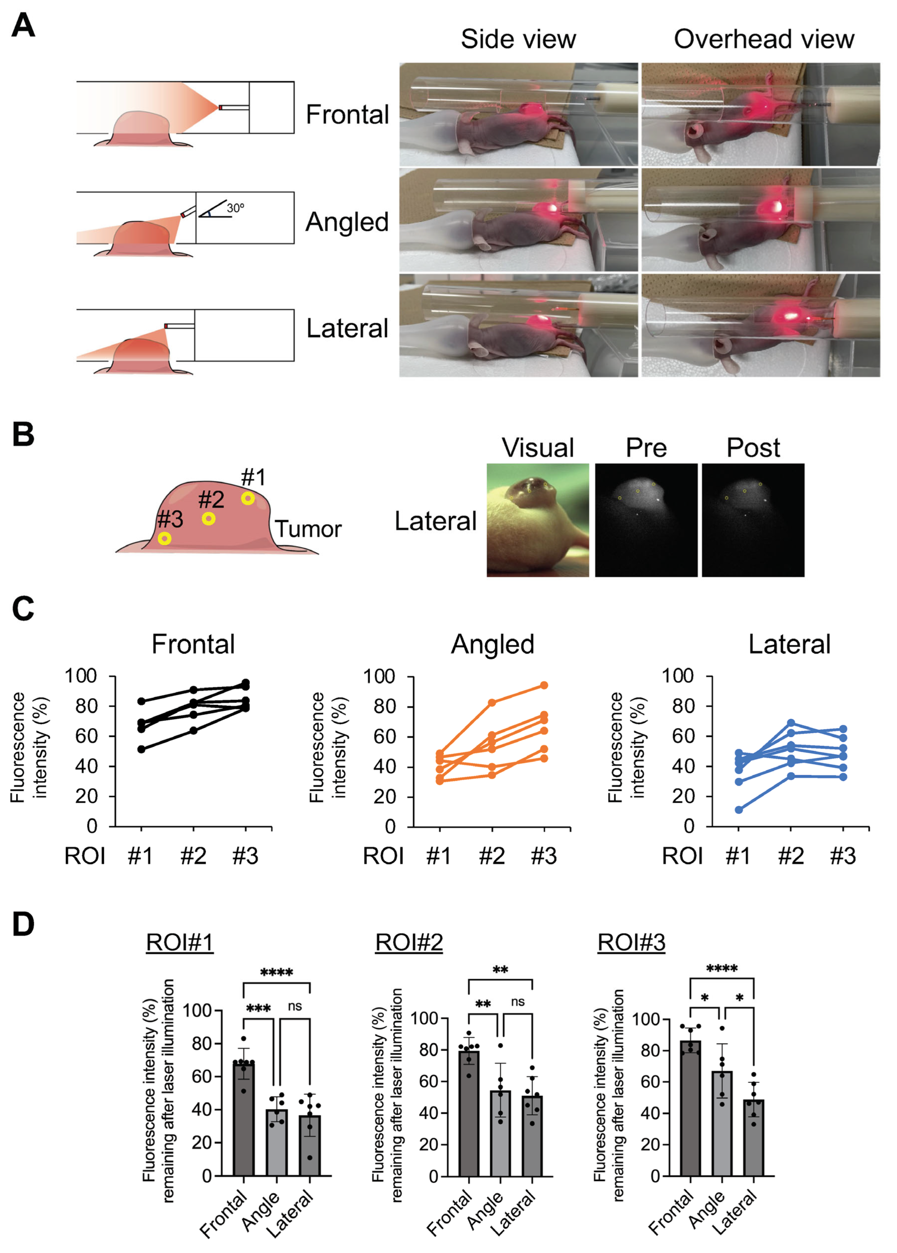 Cancers 16 02558 g004